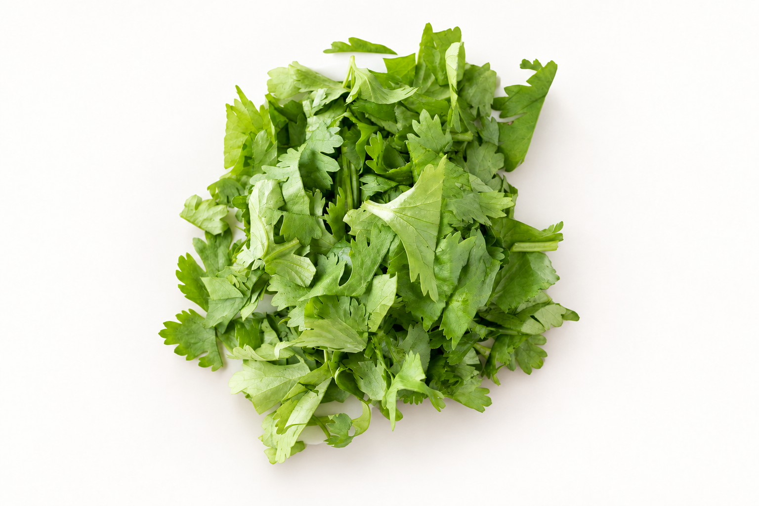 Cilantro for a Pokerrito build-your-own bowl