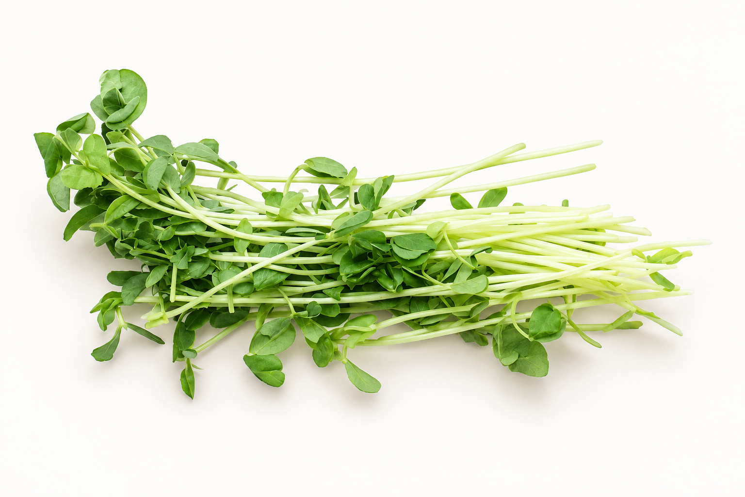Pea Shoot for a Pokerrito build-your-own bowl