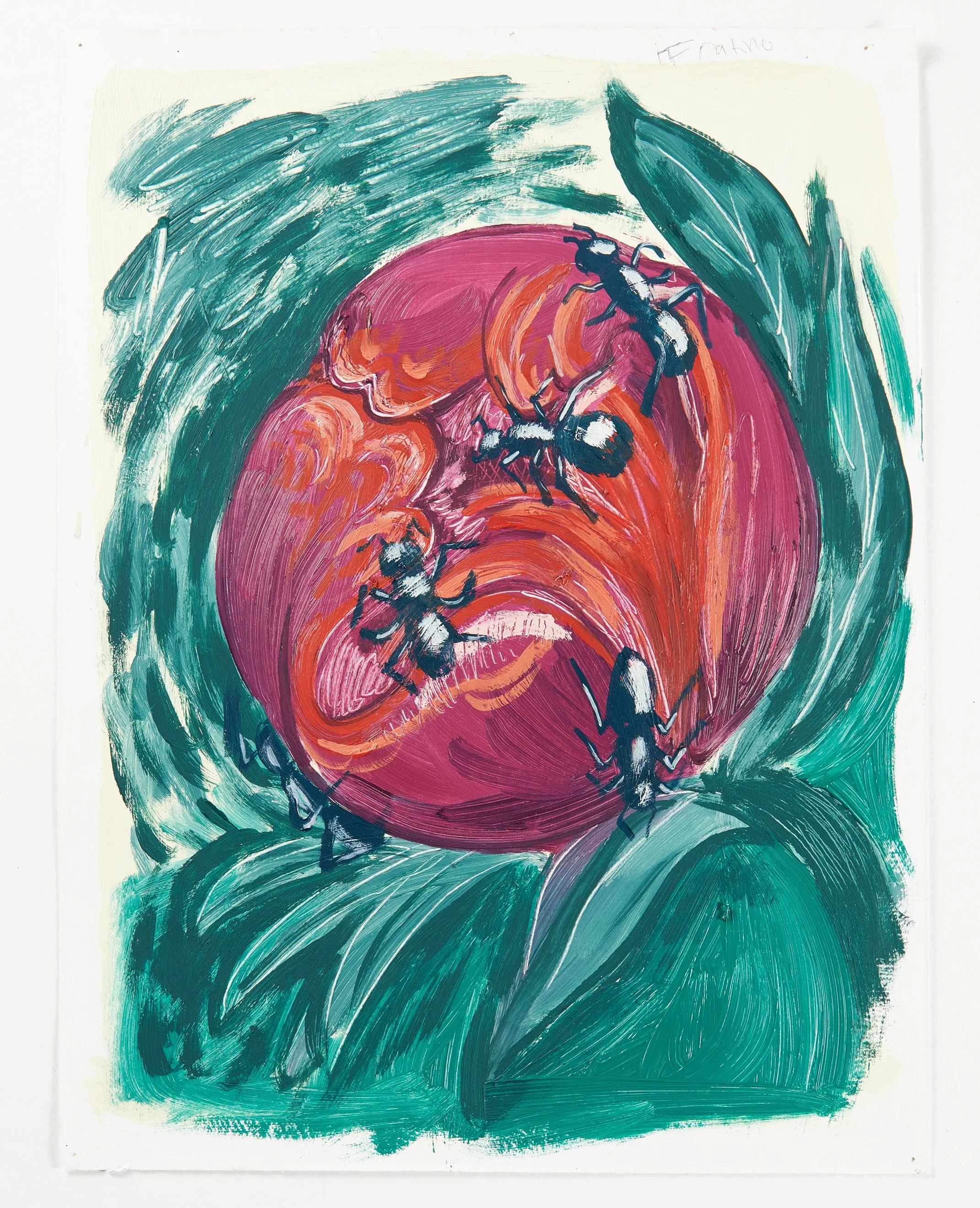 “Study of Peony with ants” / oil on paper / 2019