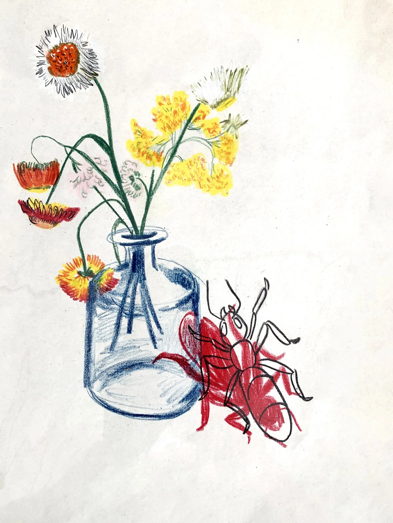 "Study With Ants" / 8"x 10" / Colored Pencil On Paper / 2020