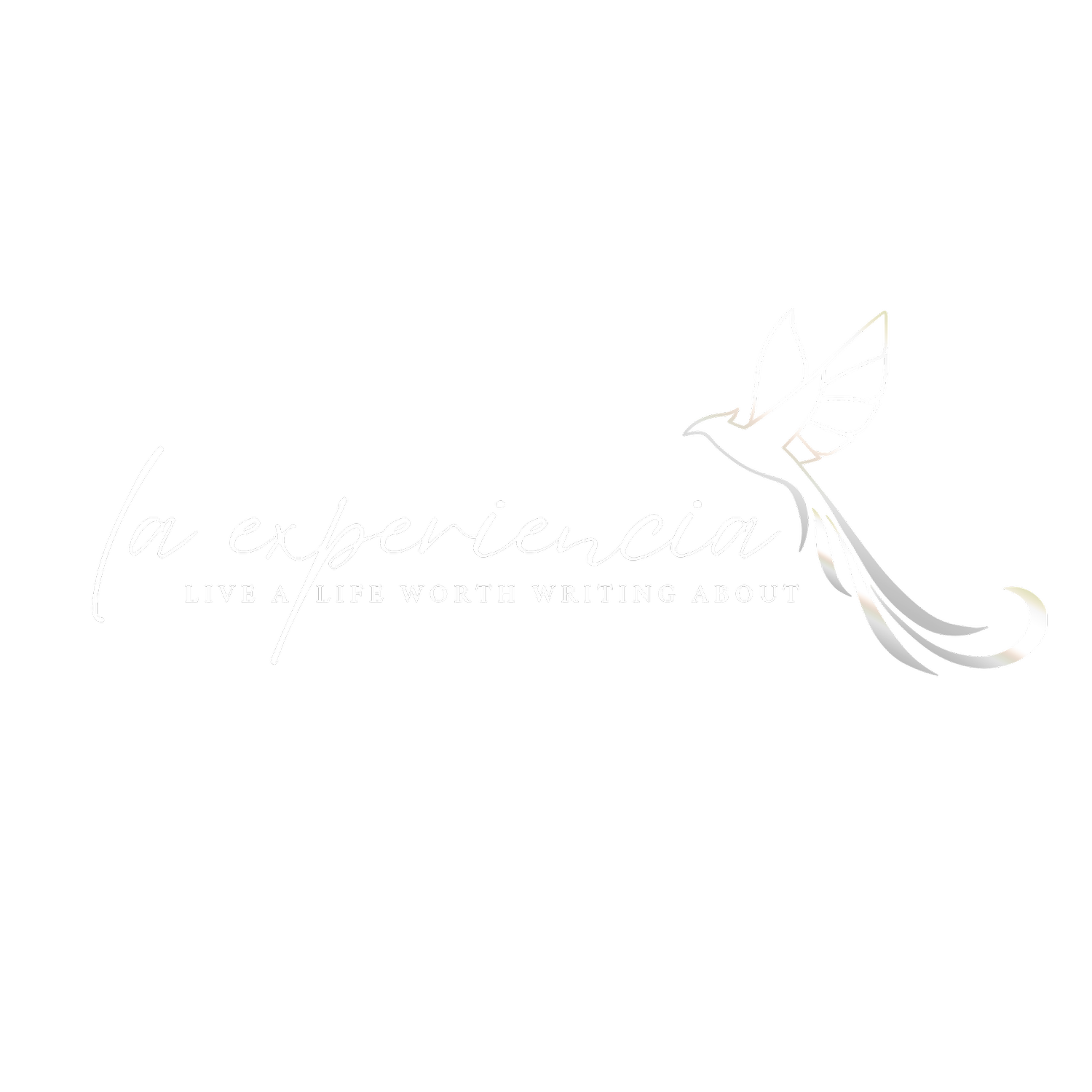 la experiencia