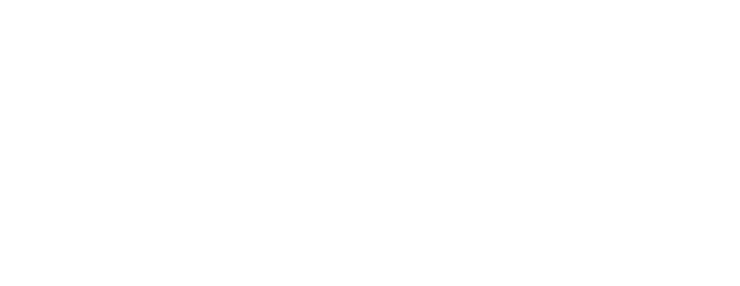 la experiencia
