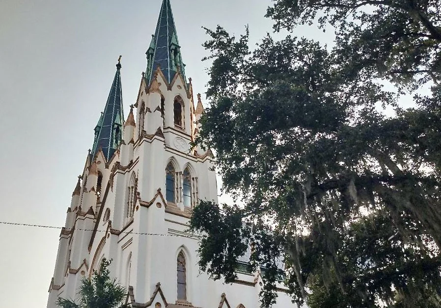 Savannah — Suzanne Willis Properties