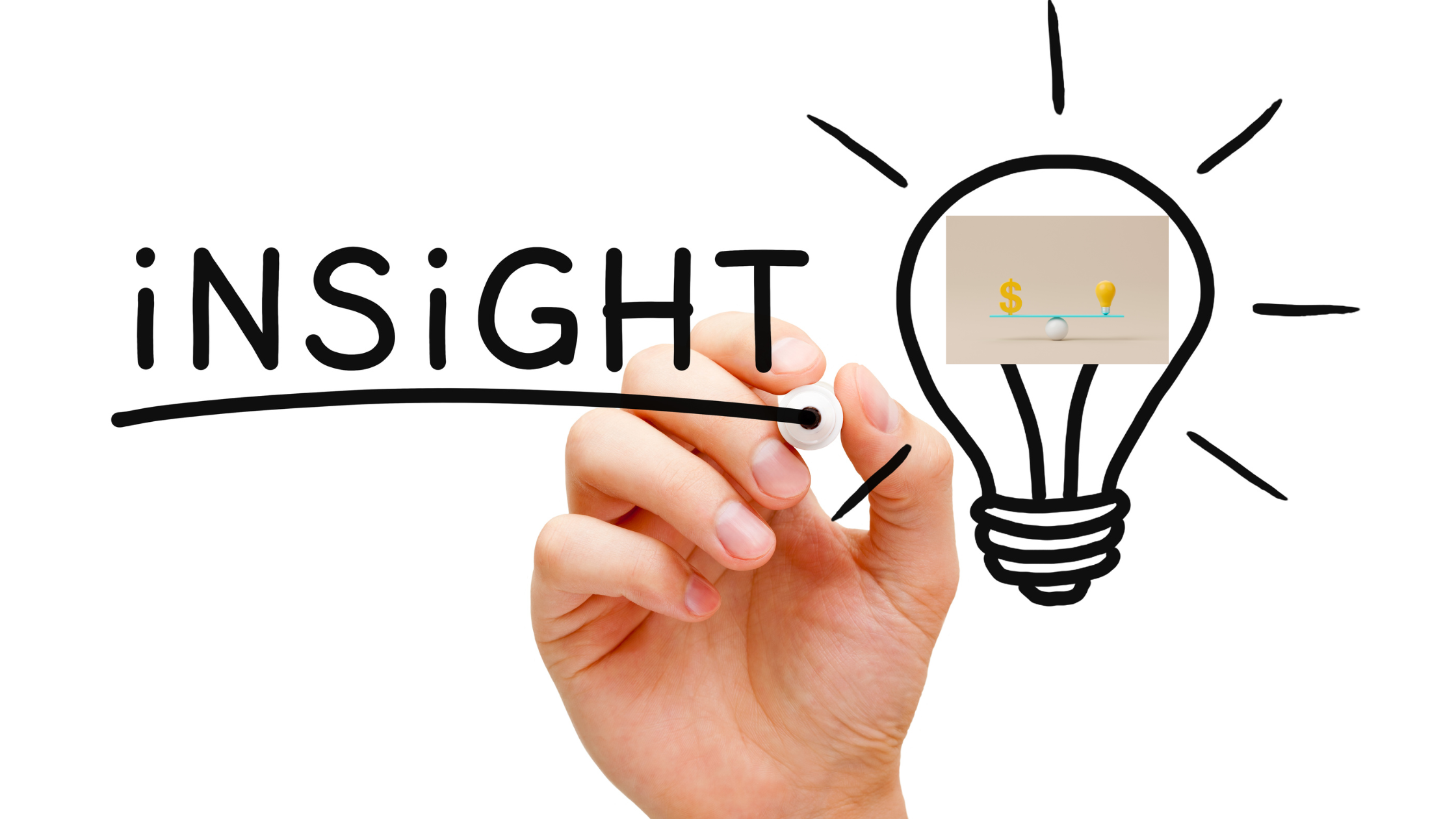 Investment Insights: Success &amp; Scaling