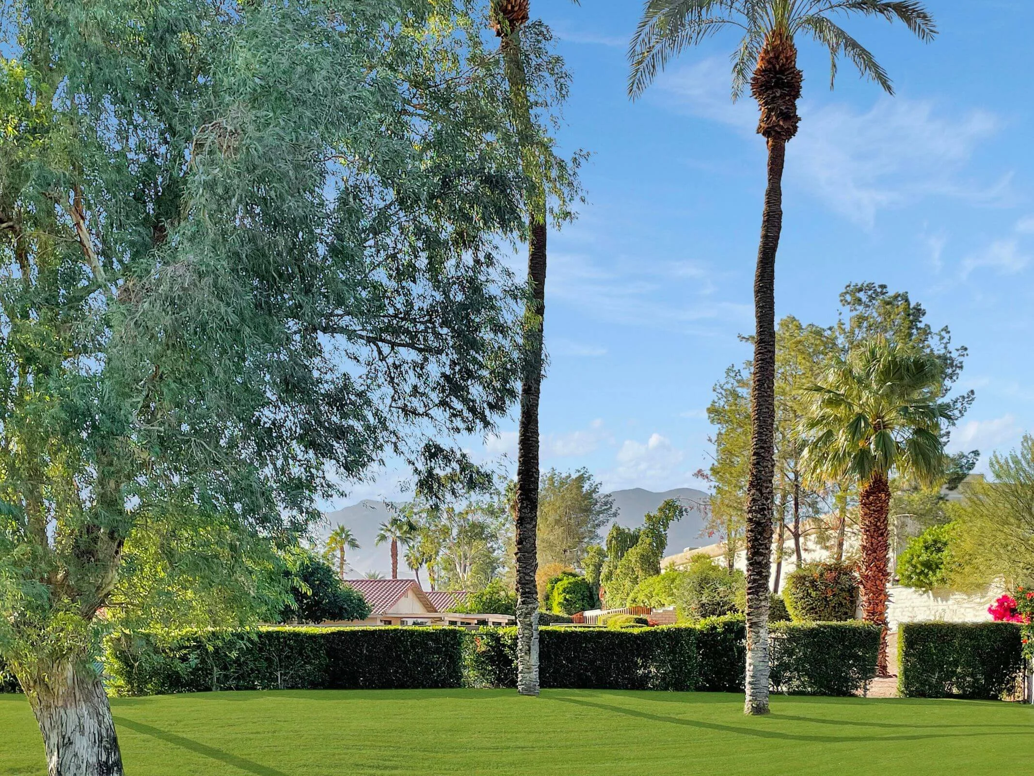 Sagewood Palm Desert