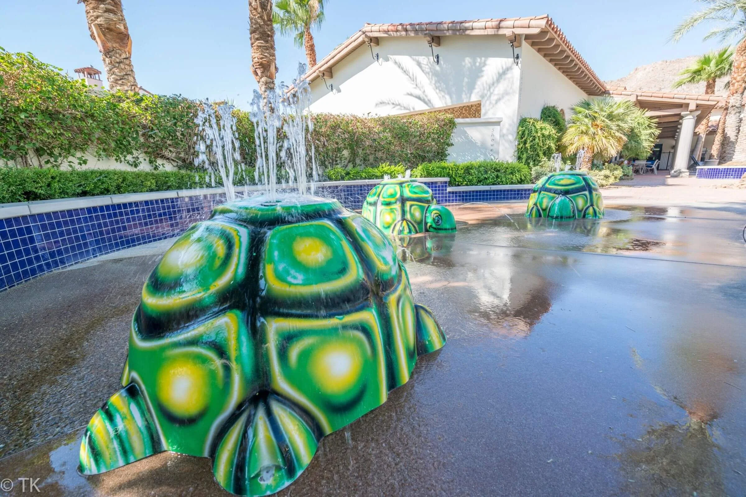 Legacy Villas Turtles 2