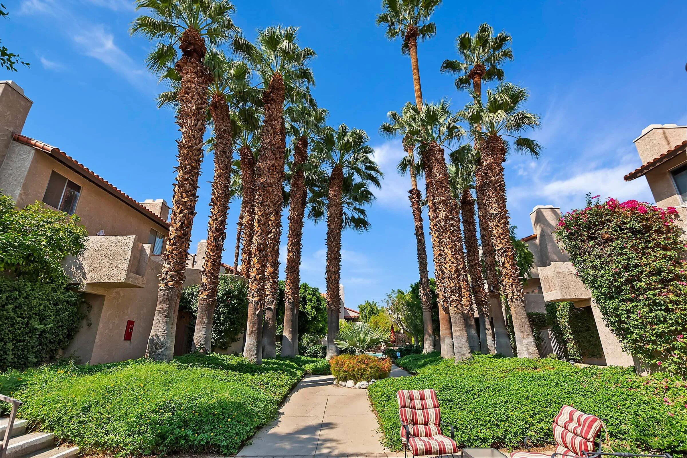 Caballeros Estates Neighborhood