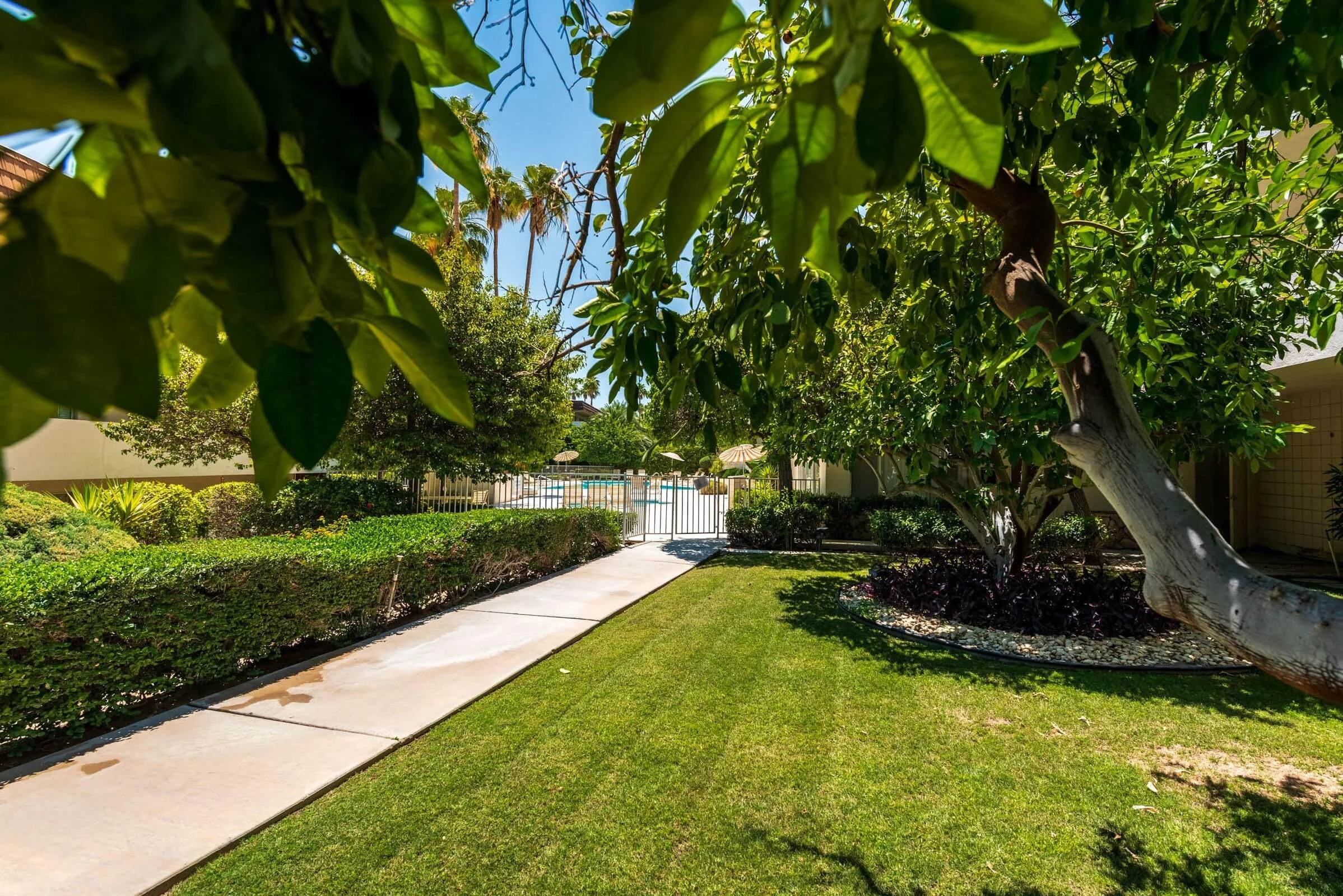 Canyon View Condos Community