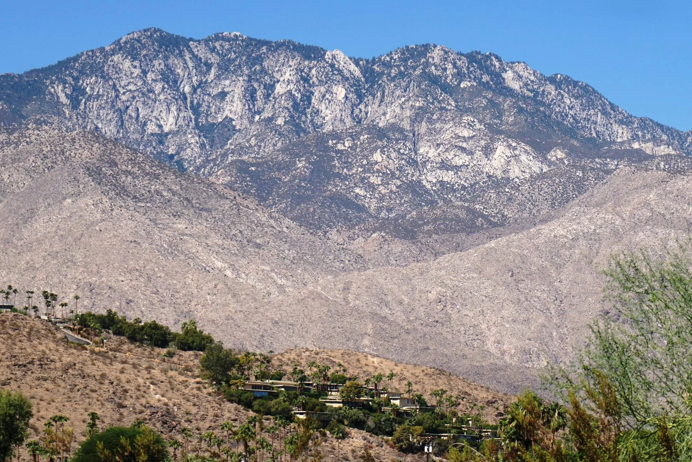 Rimcrest Views