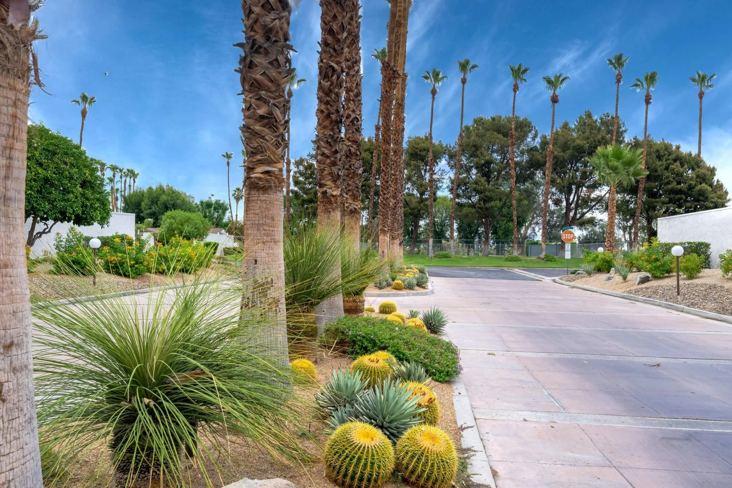 Mesquite Canyon Estates Real Estate