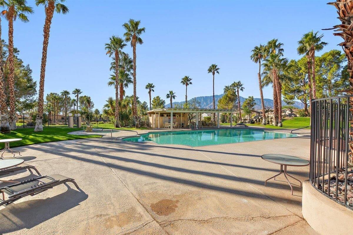 Desert Willow Views