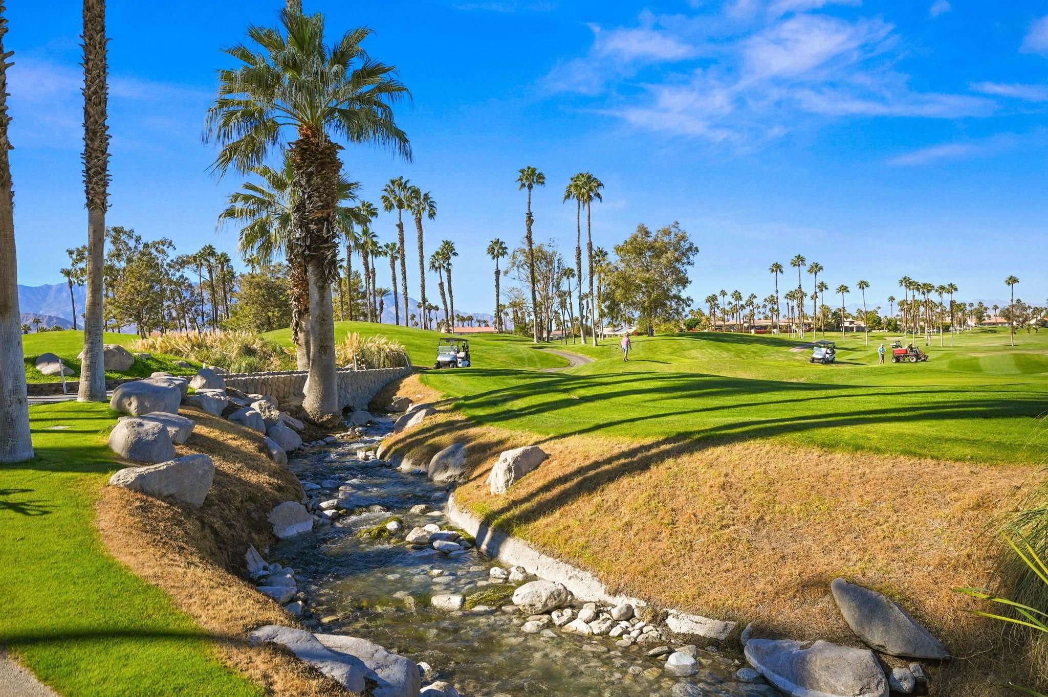 Palm Desert Country Club Homes for Sale