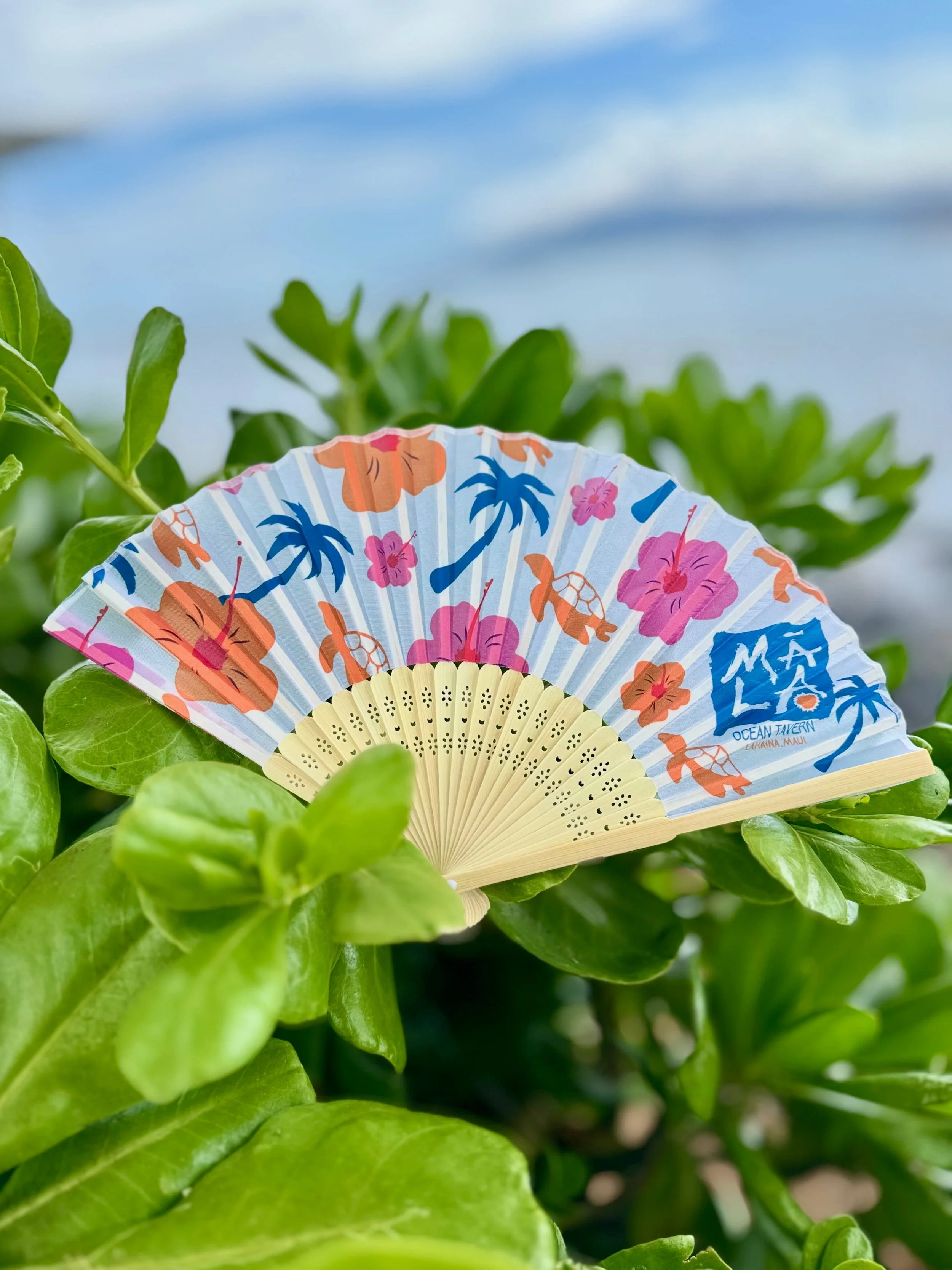 Hand Fan