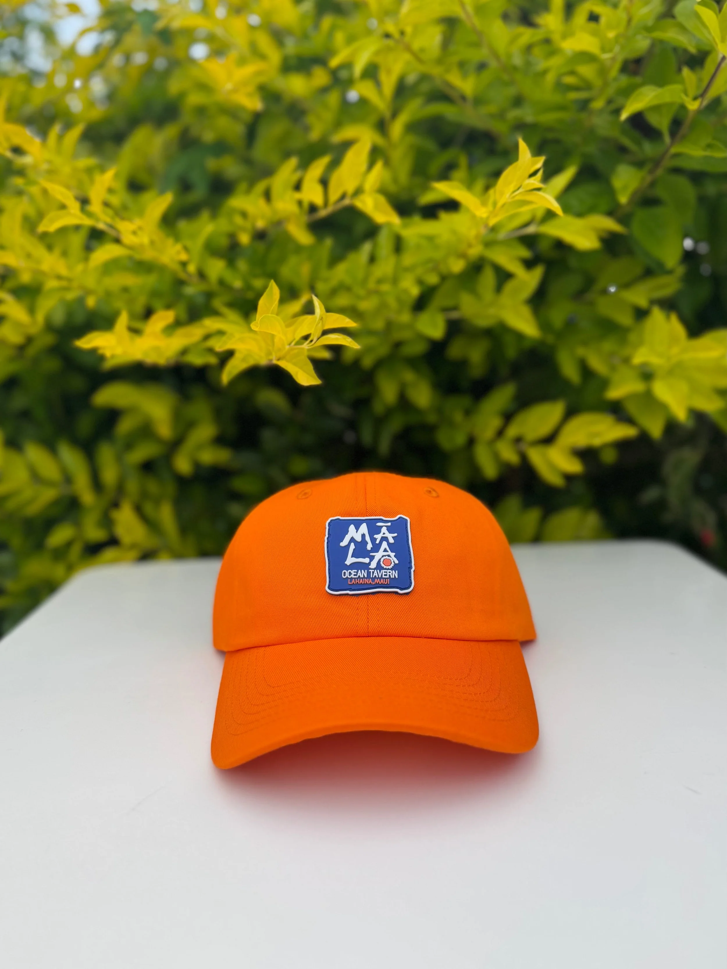 Orange Dad Hat 1-2.jpg