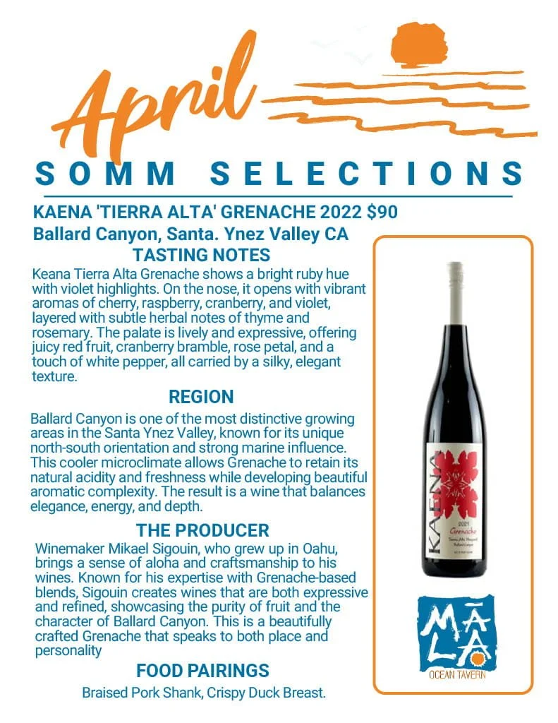 1775614930030-0b1aa78a-6f3d-412a-af75-07f3baaec147_1 (1).jpg