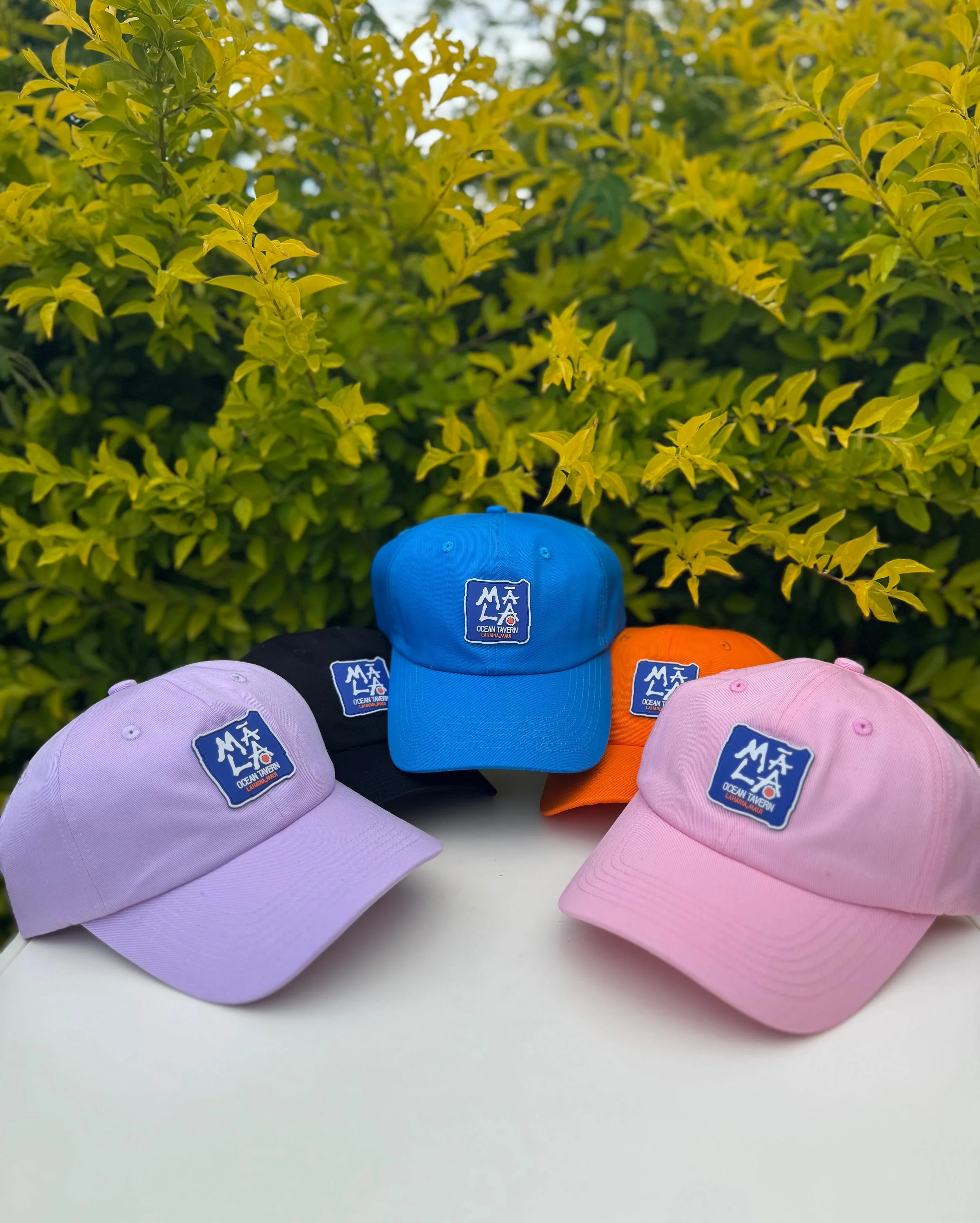 All Dad Hats-2.jpg