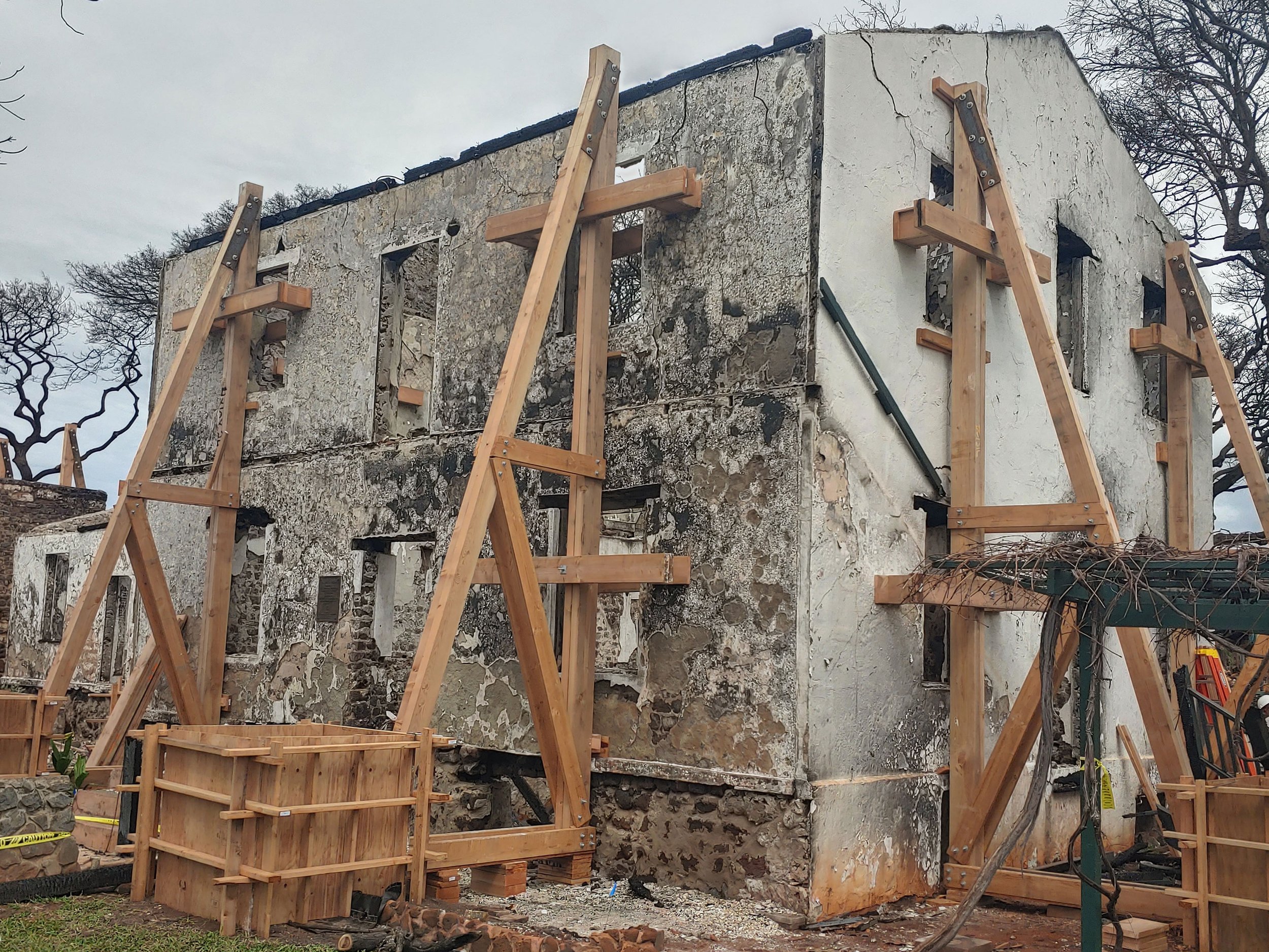 Supporting Lahaina Restoration Foundation: Our Q4 Round-Up Beneficiary