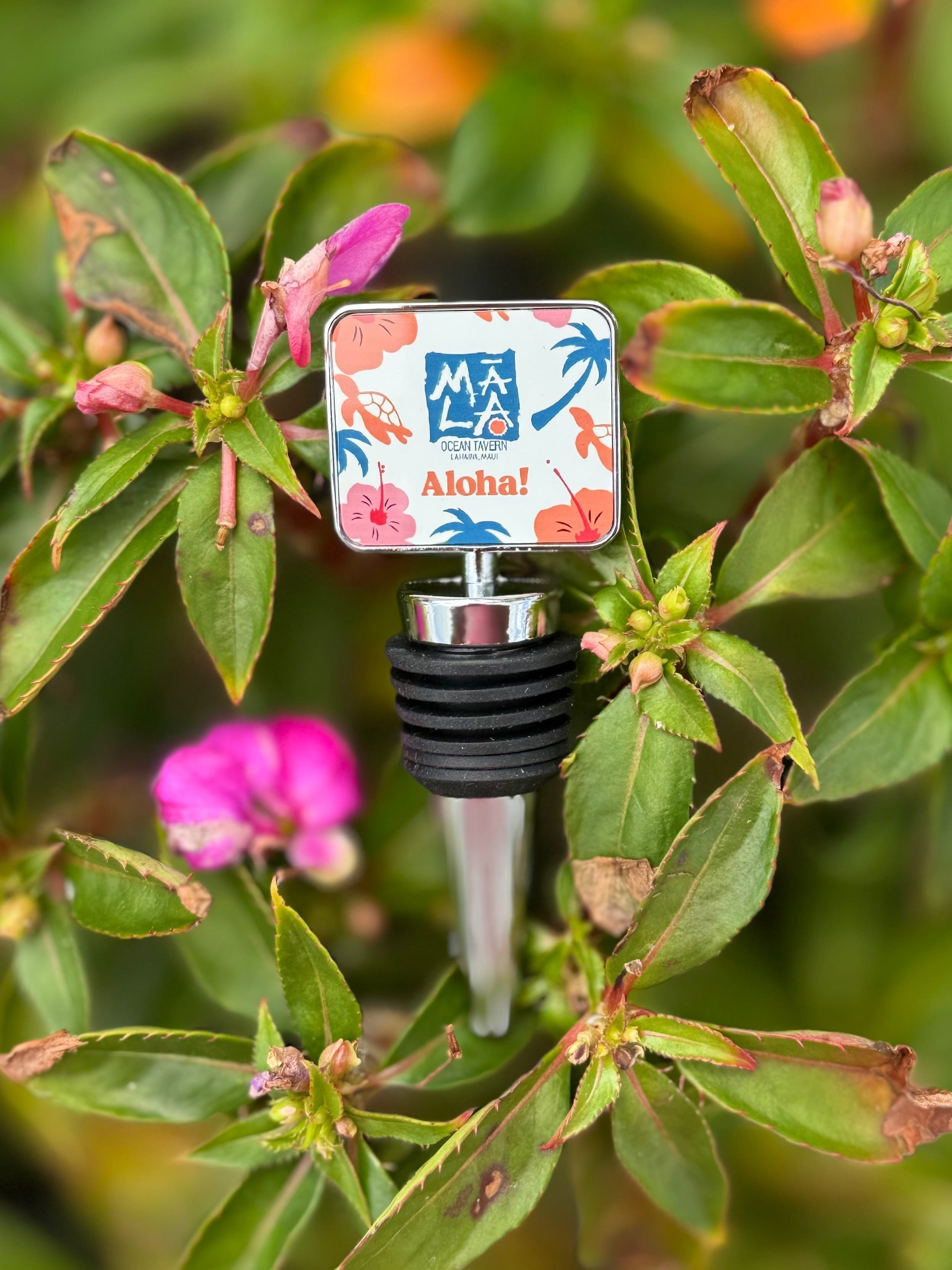Wine Stopper-2.jpg