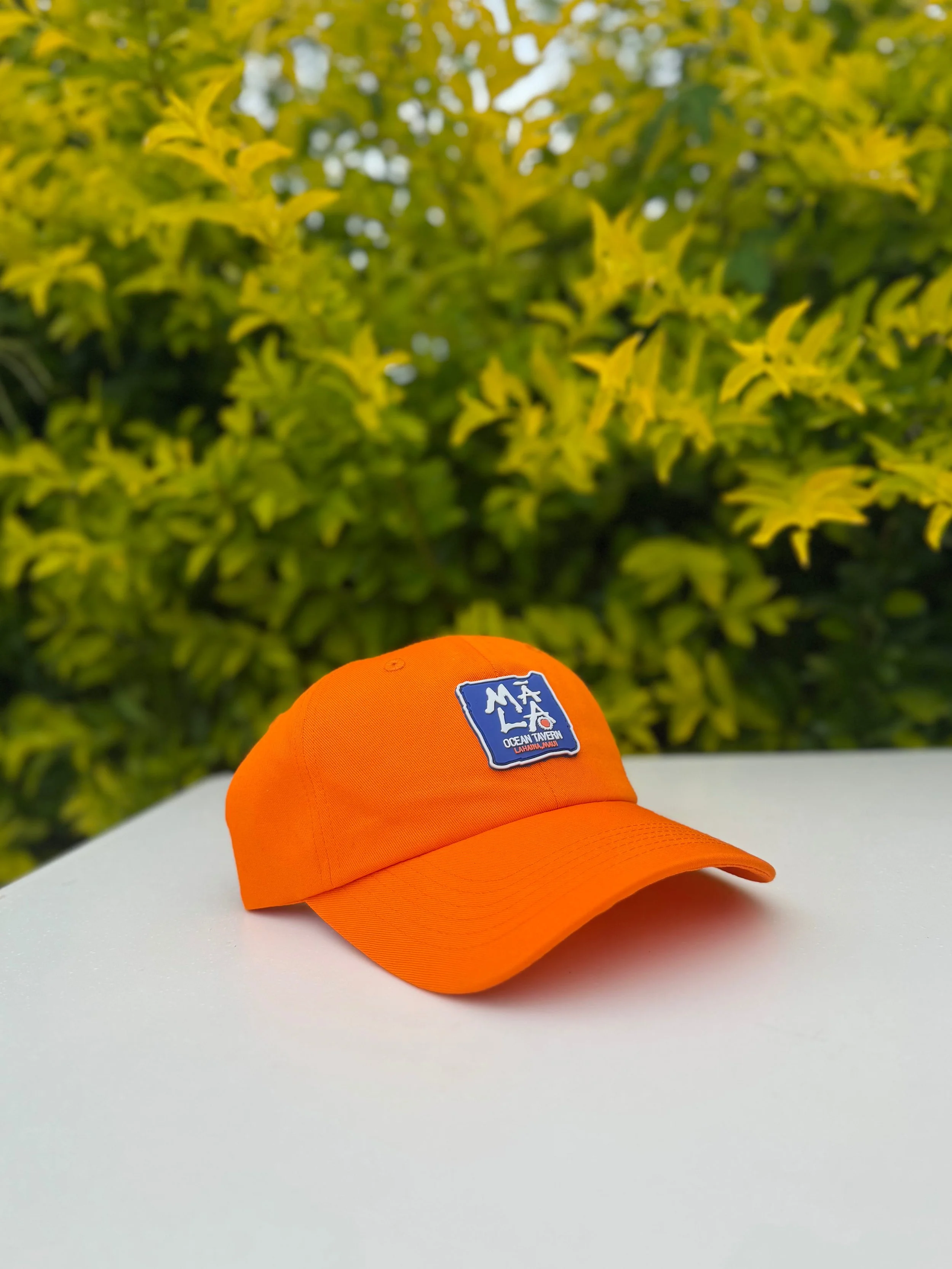 Orange Dad Hat-2.jpg