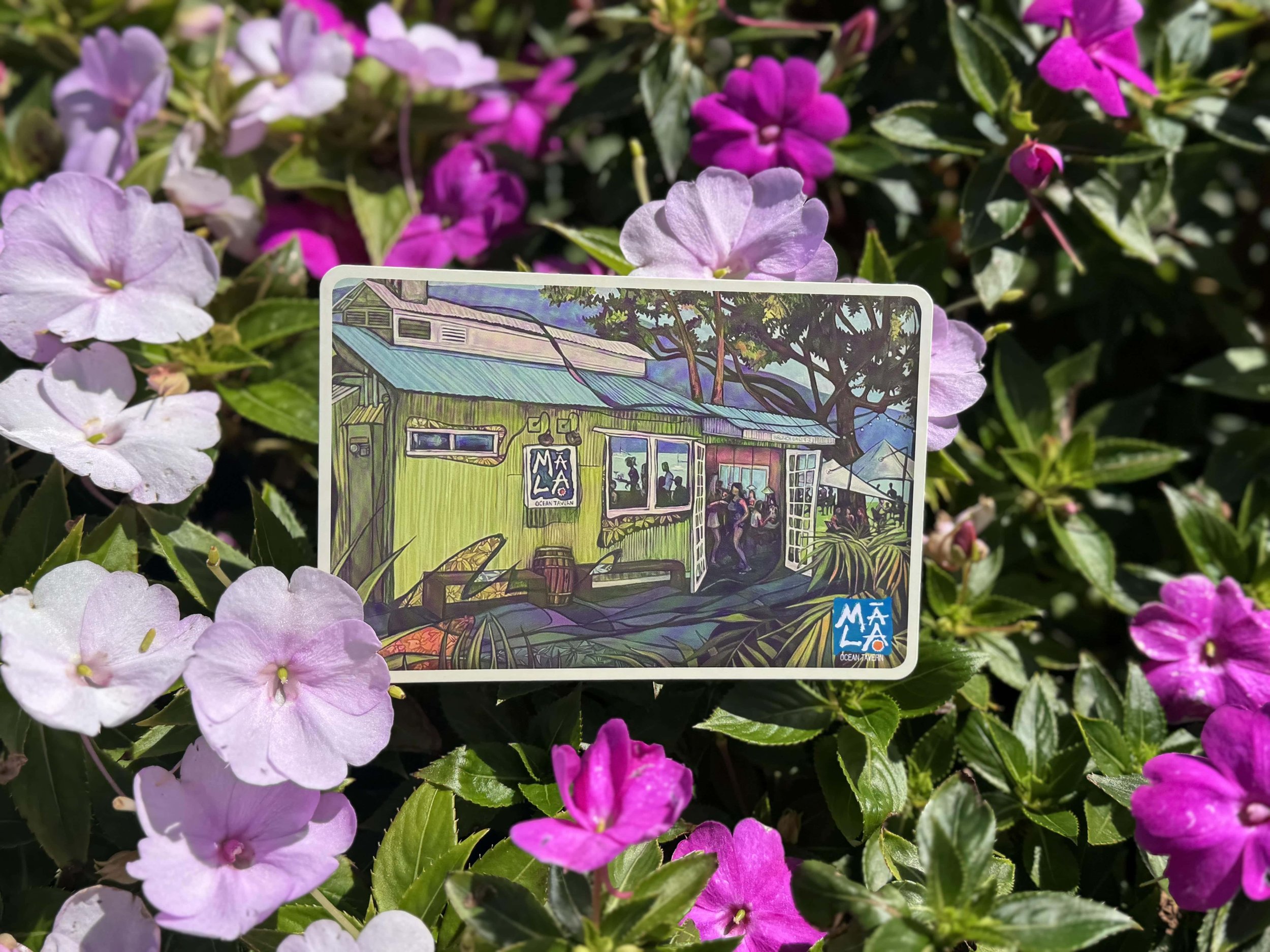 Postcard-min.jpg