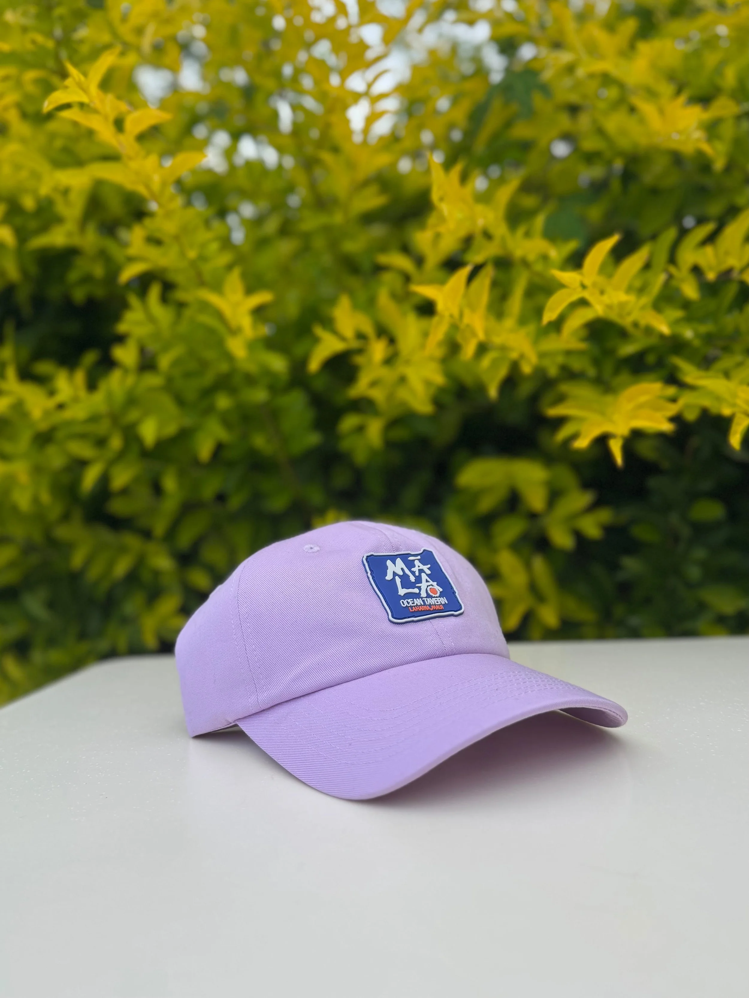 Purple Dad Hat-2.jpg