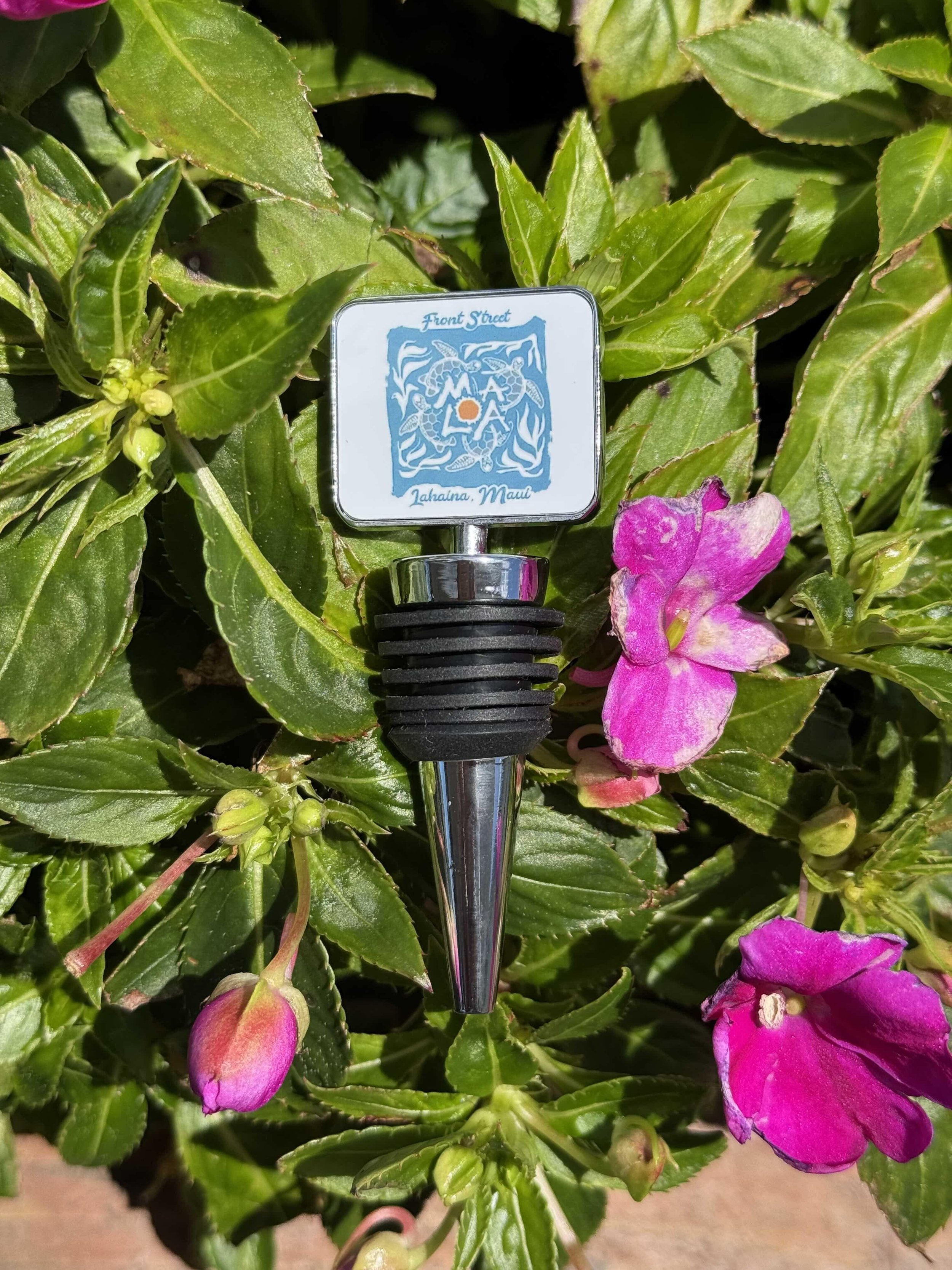 Wine Stopper Turtles-min.jpg