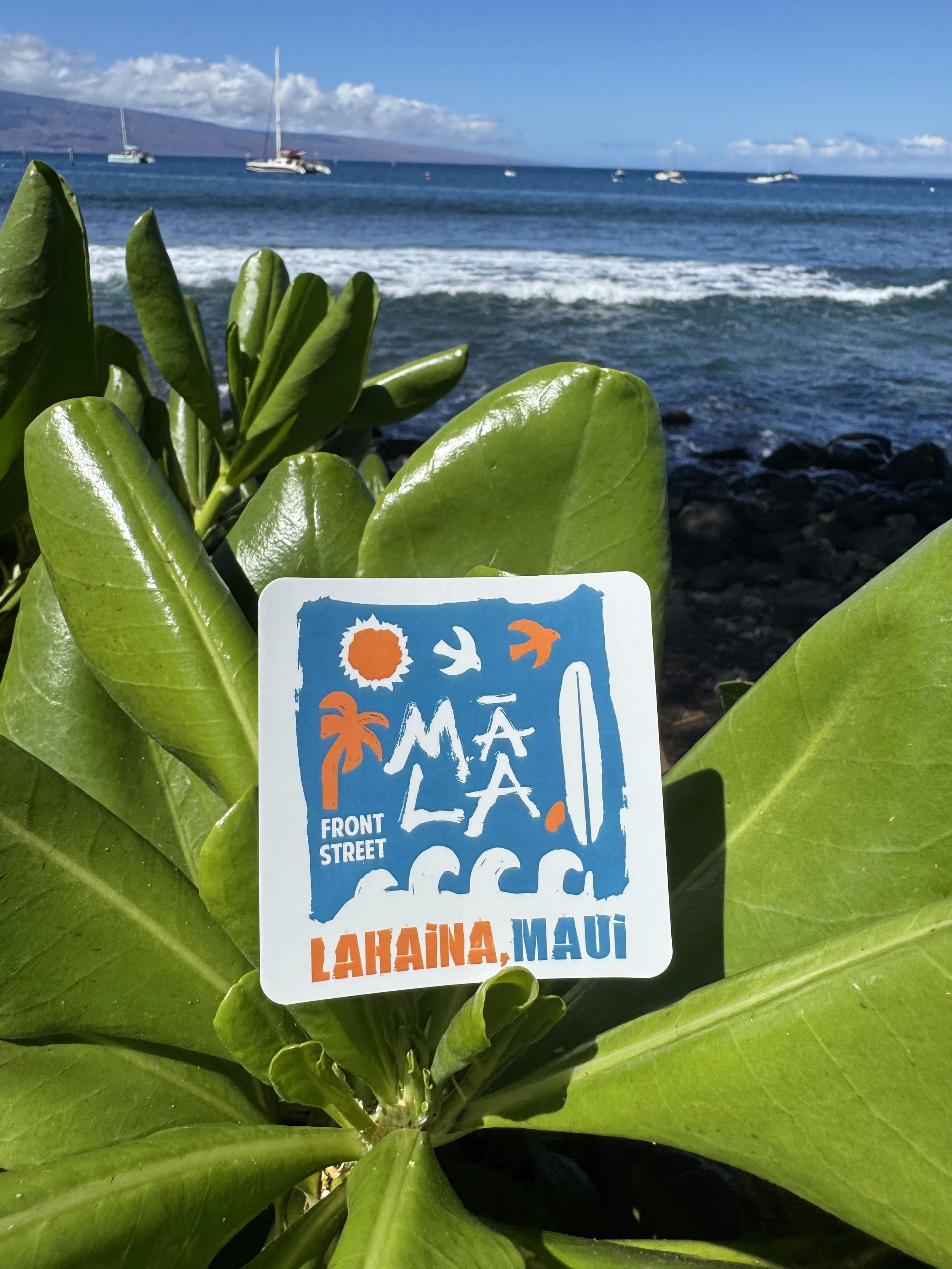 Sticker - Surf-min.jpg