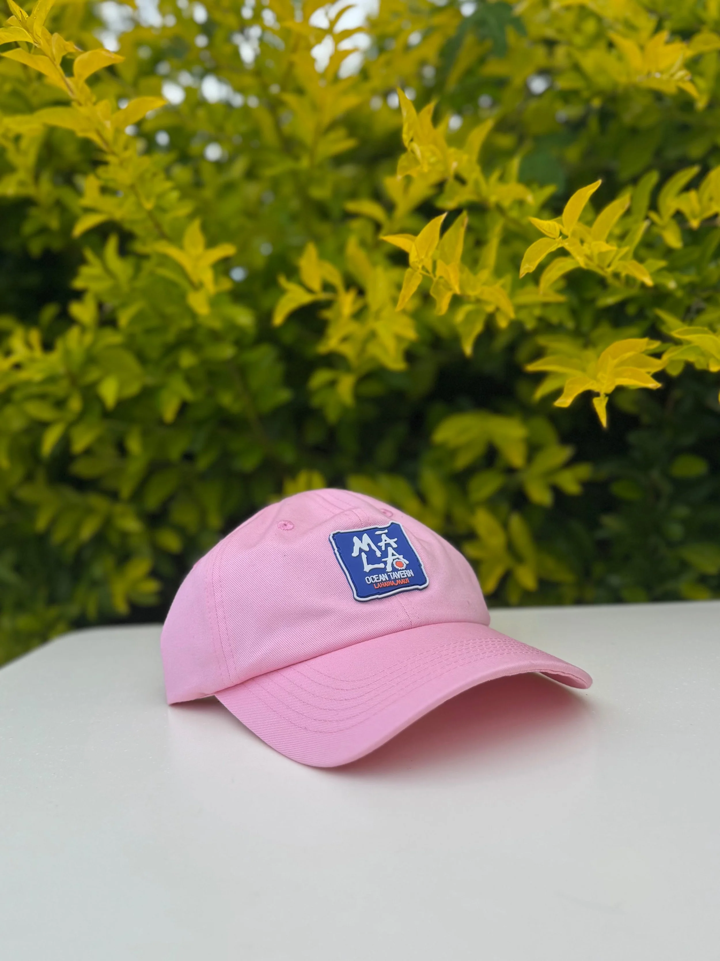 Pink Dad Hat-2.jpg