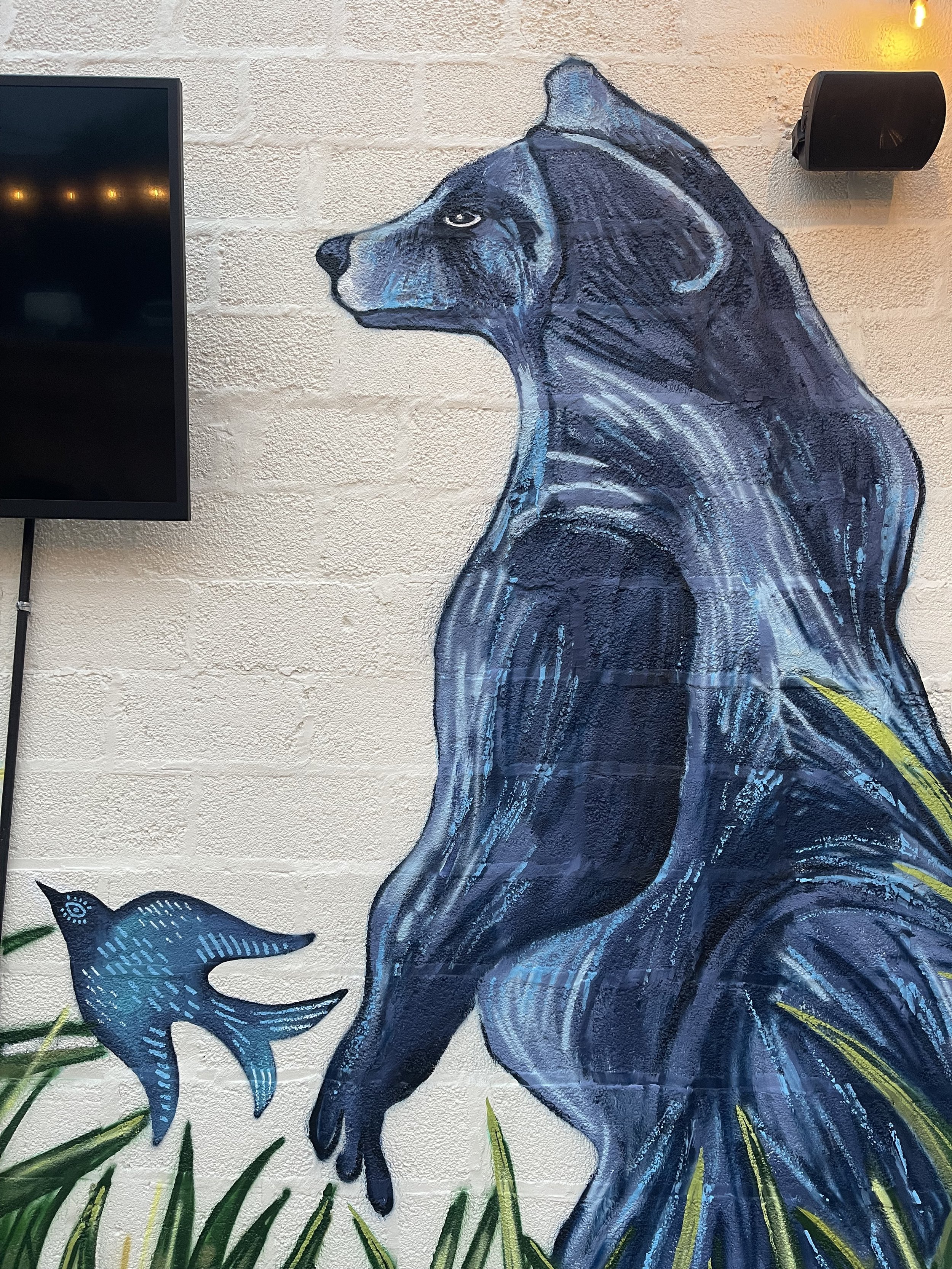 Catherine Tilly Design_Backyard4.jpeg