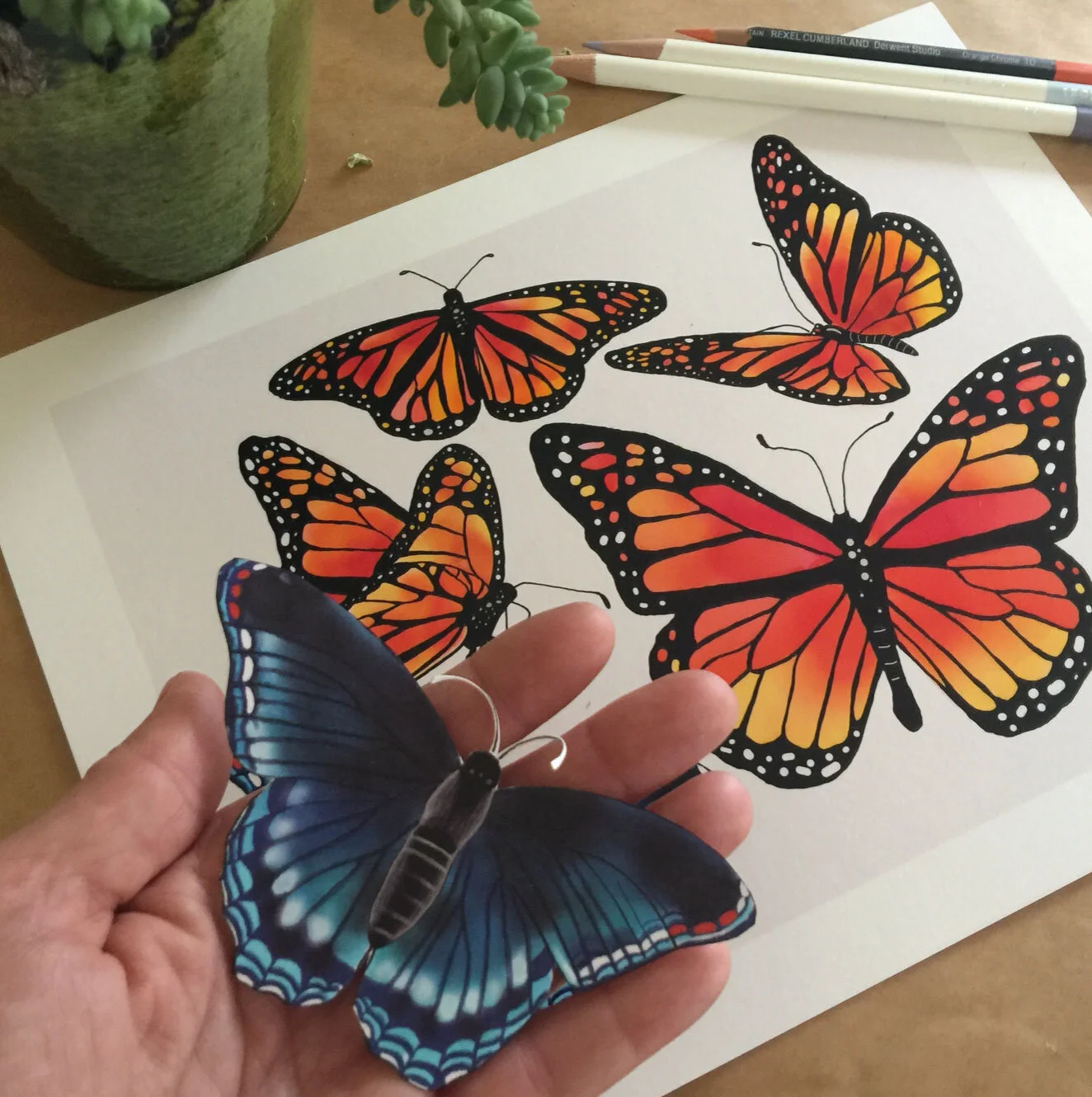 Catherine Tilly Design_ButterflyinHand.jpg