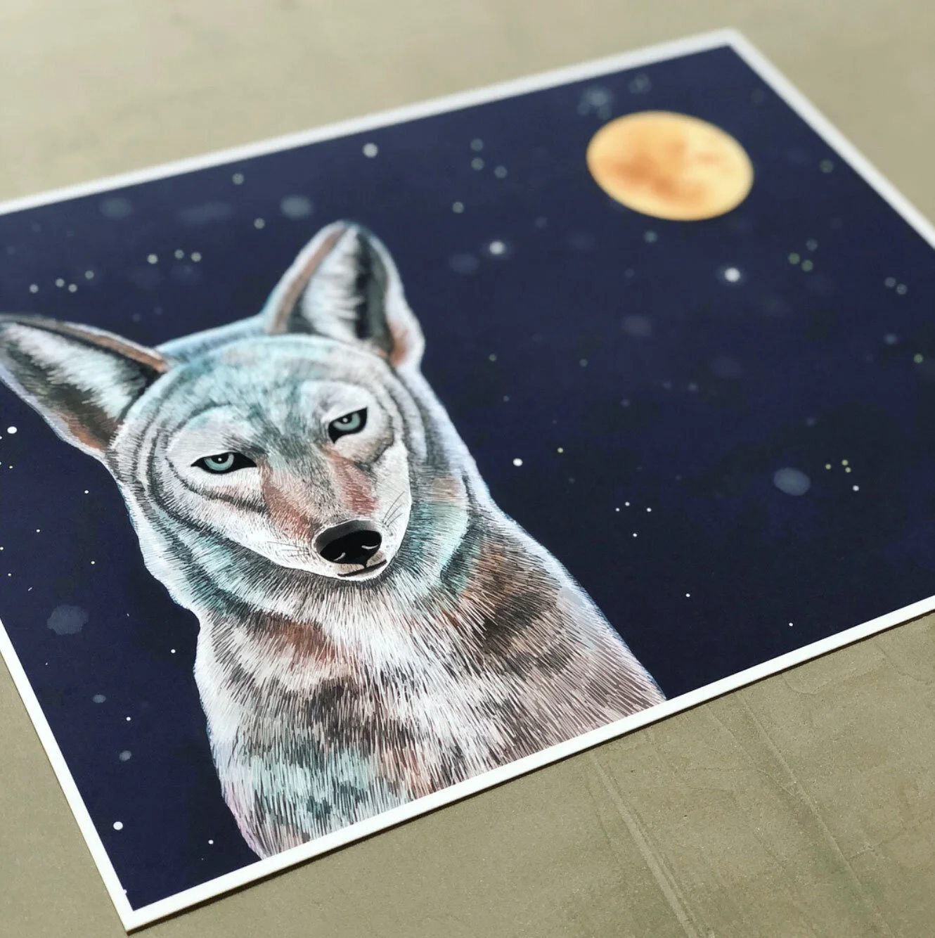 Catherine Tilly Design_Coyote.jpg