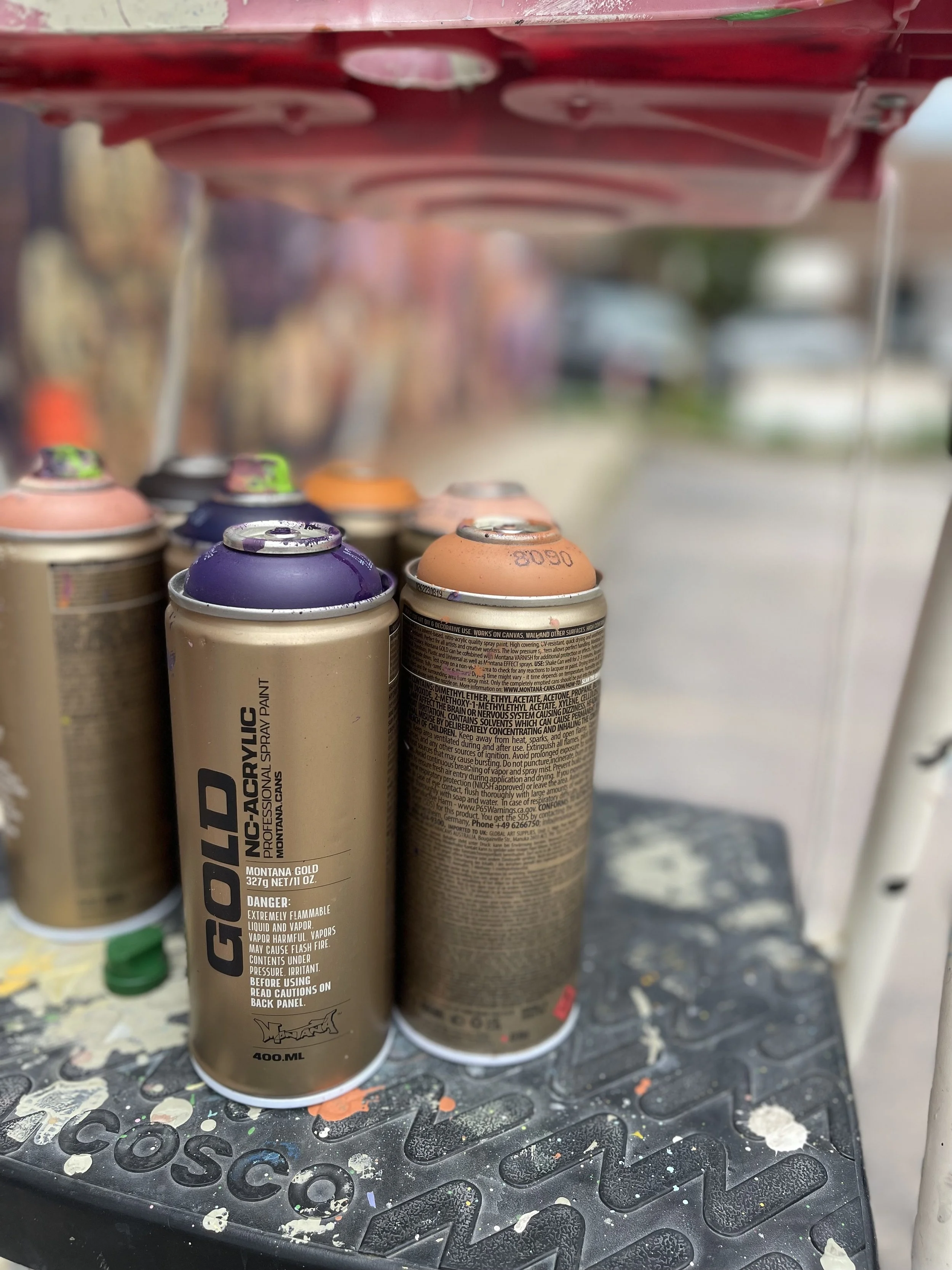 Catherine Tilly Design_Niche Geneva Mural Project6.jpeg