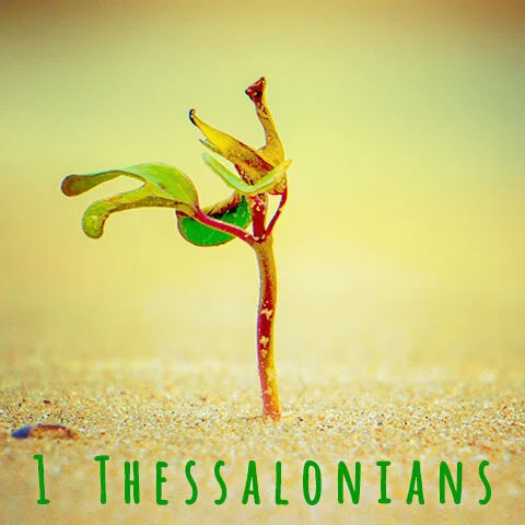 1 Thessalonians 5:1-11 episode artwork