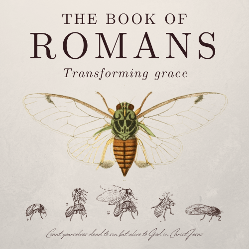How to overcome sin (Romans 6:1-14) episode artwork