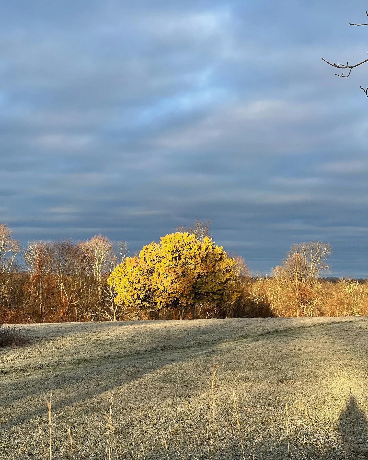 design inspiration: fall light