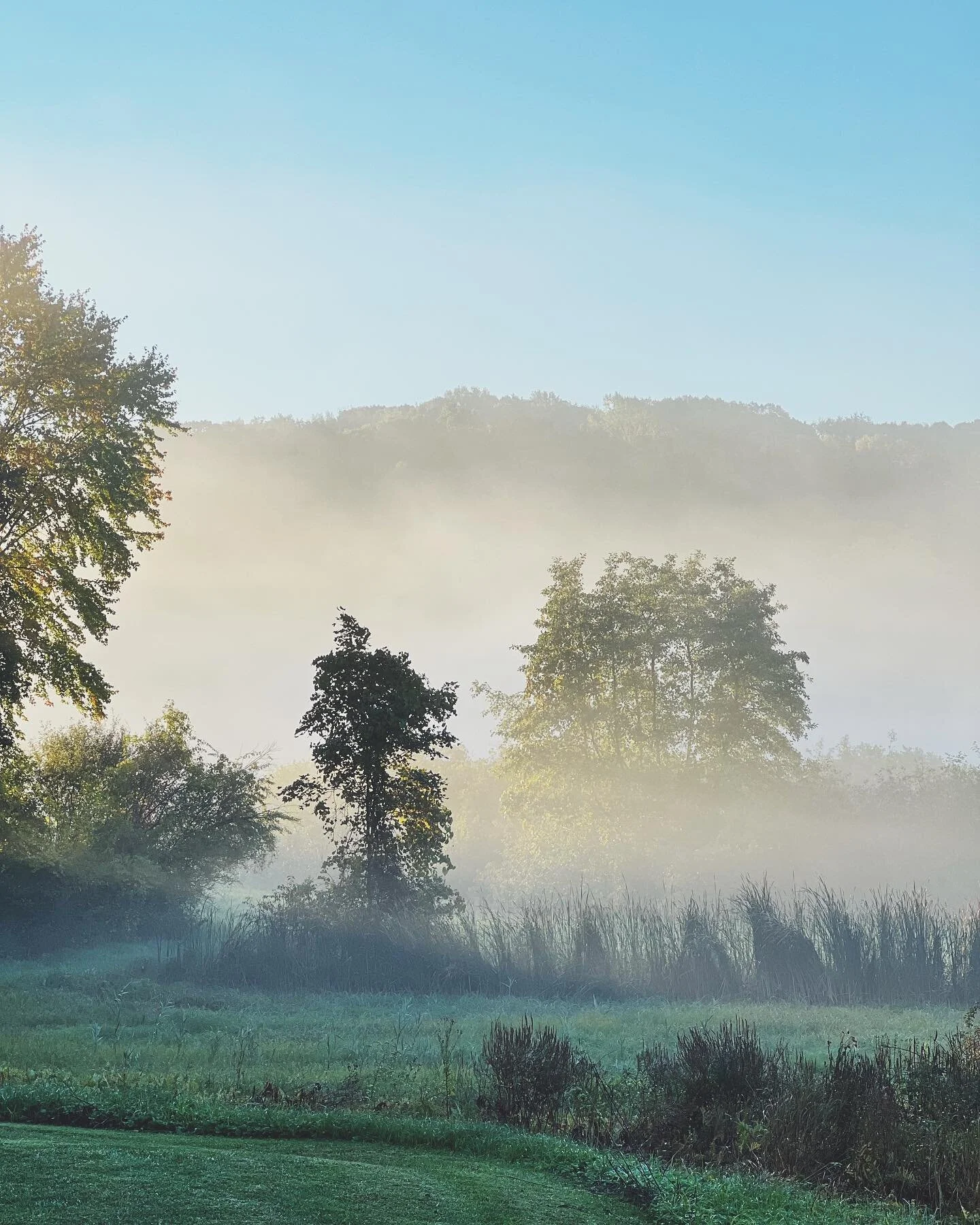 color mood: fog on a morning run