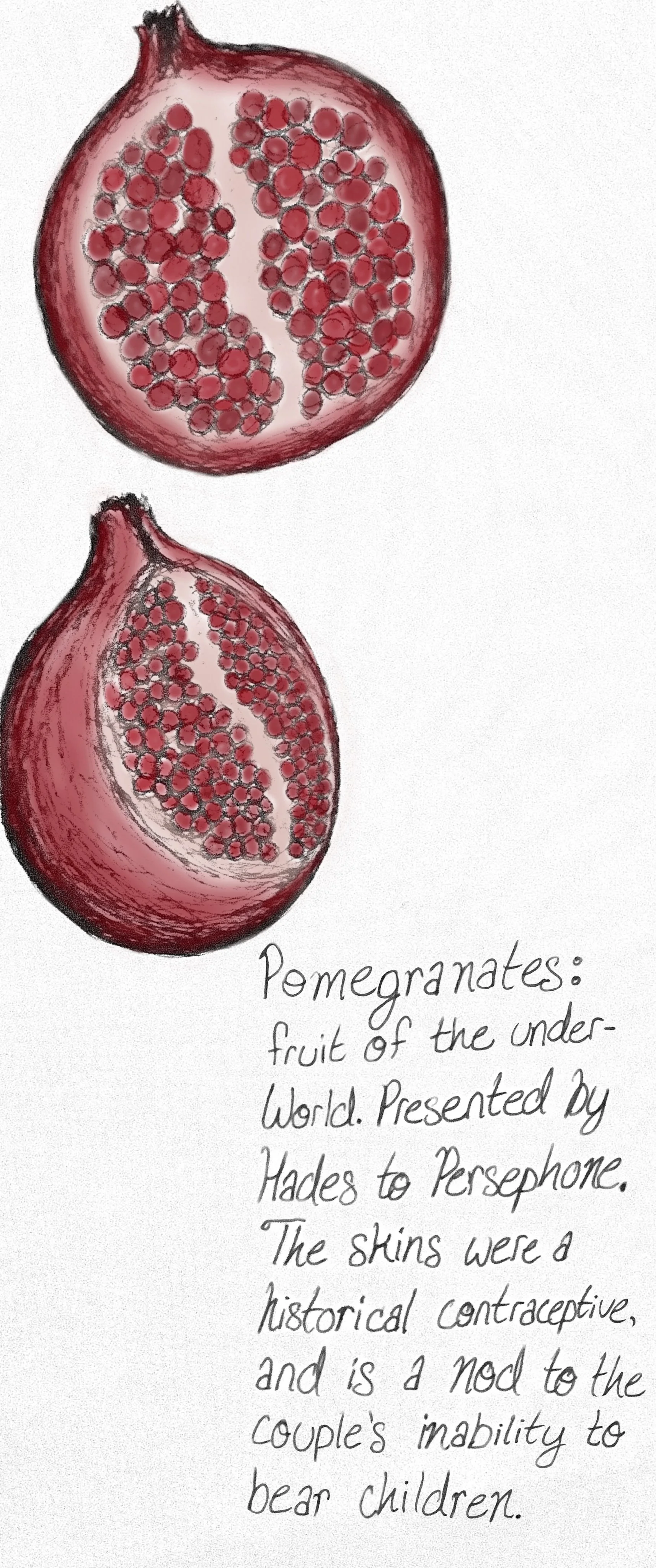 Pomegranates_.jpg