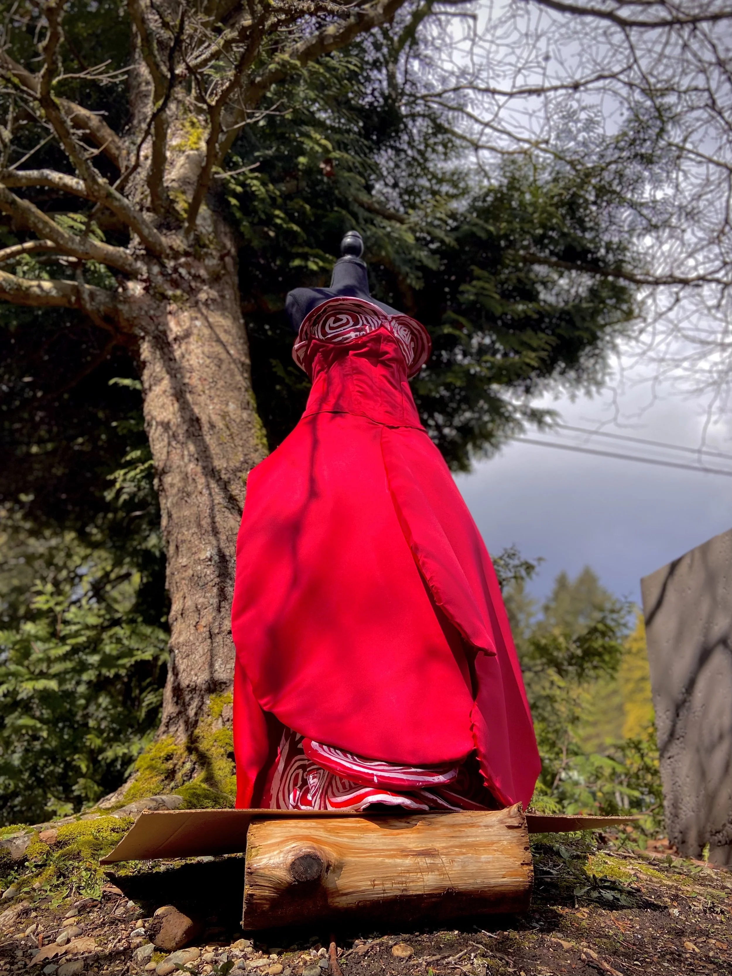 REDress, Regrow (Do Not Pluck Me). 2022