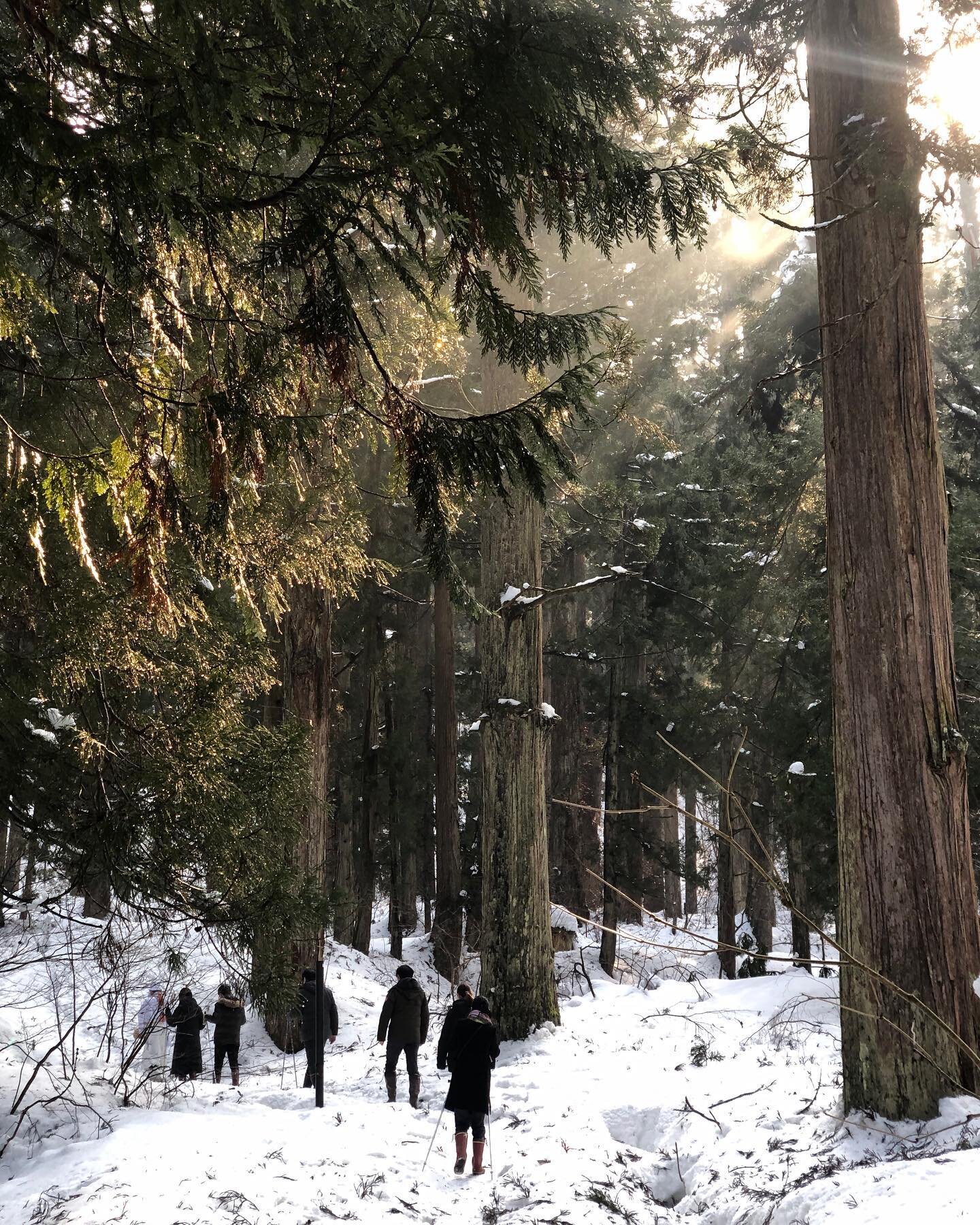 While the snow on Mt. Haguro will well and truly stick around for a while, winter won&rsquo;t. The energy accumulated over the winter is starting to burst through the cracks, and soon this white landscape will be awash with the fresh green of spring.