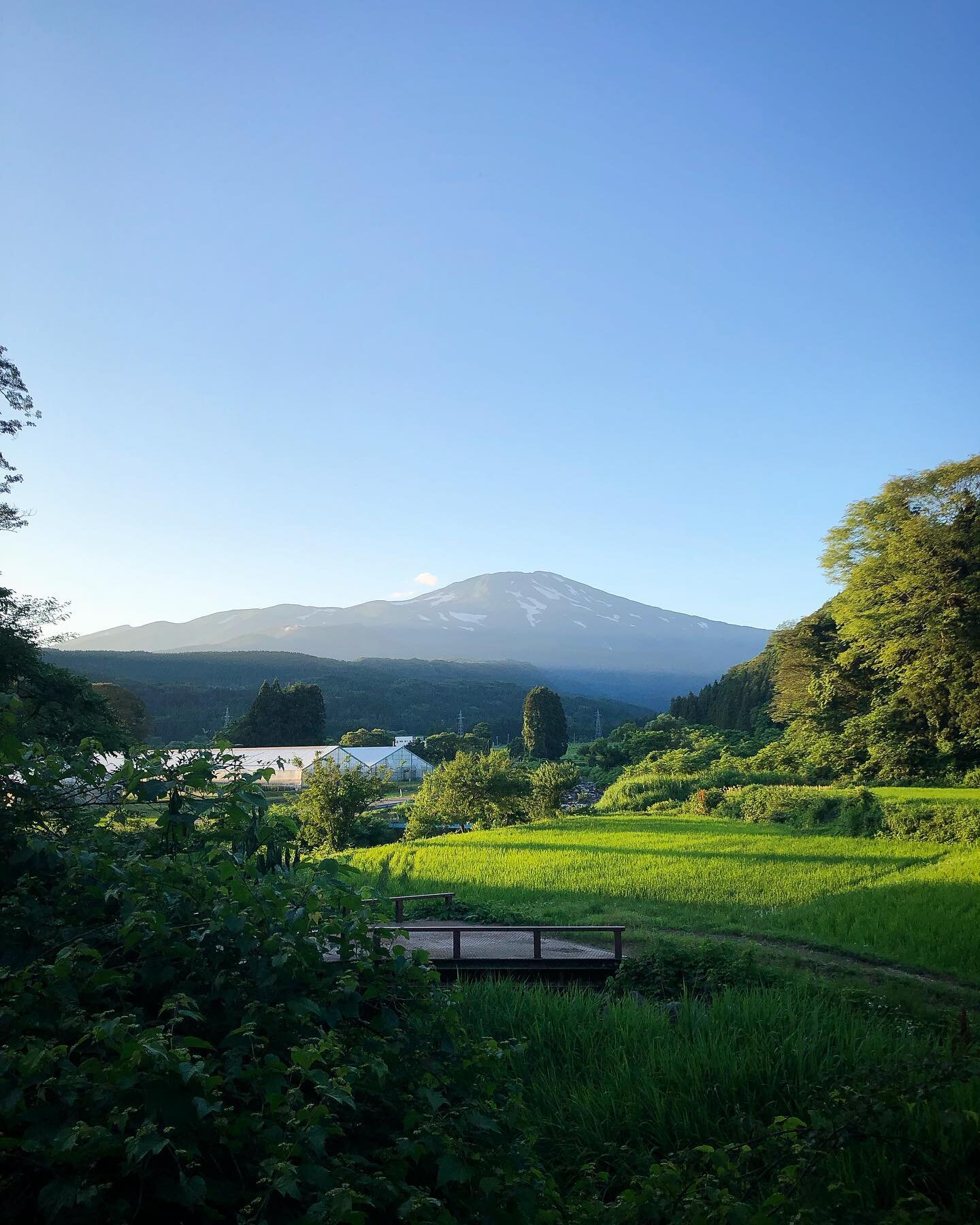 What better way to contemplate life and how to move forward from a few unpredictable years with a Yamabushi training under Master Hoshino in the mountains of north Japan. You better be in quick though. 

With Japan&rsquo;s borders opening up slowly, 