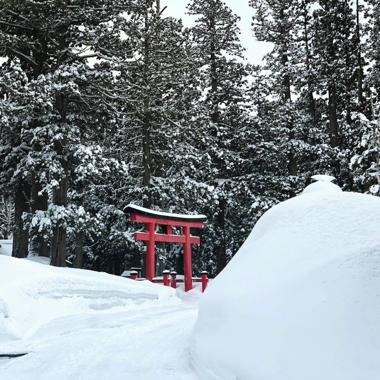 Traditionally, winter is a time to accumulate energy that is the essence of our lives, our being. Winter in Japanese is 'Fuyu', a word very similar to 'Fuyasu', to increase, or accumulate. 

The breathtaking winter landscape of the Three Mountains of