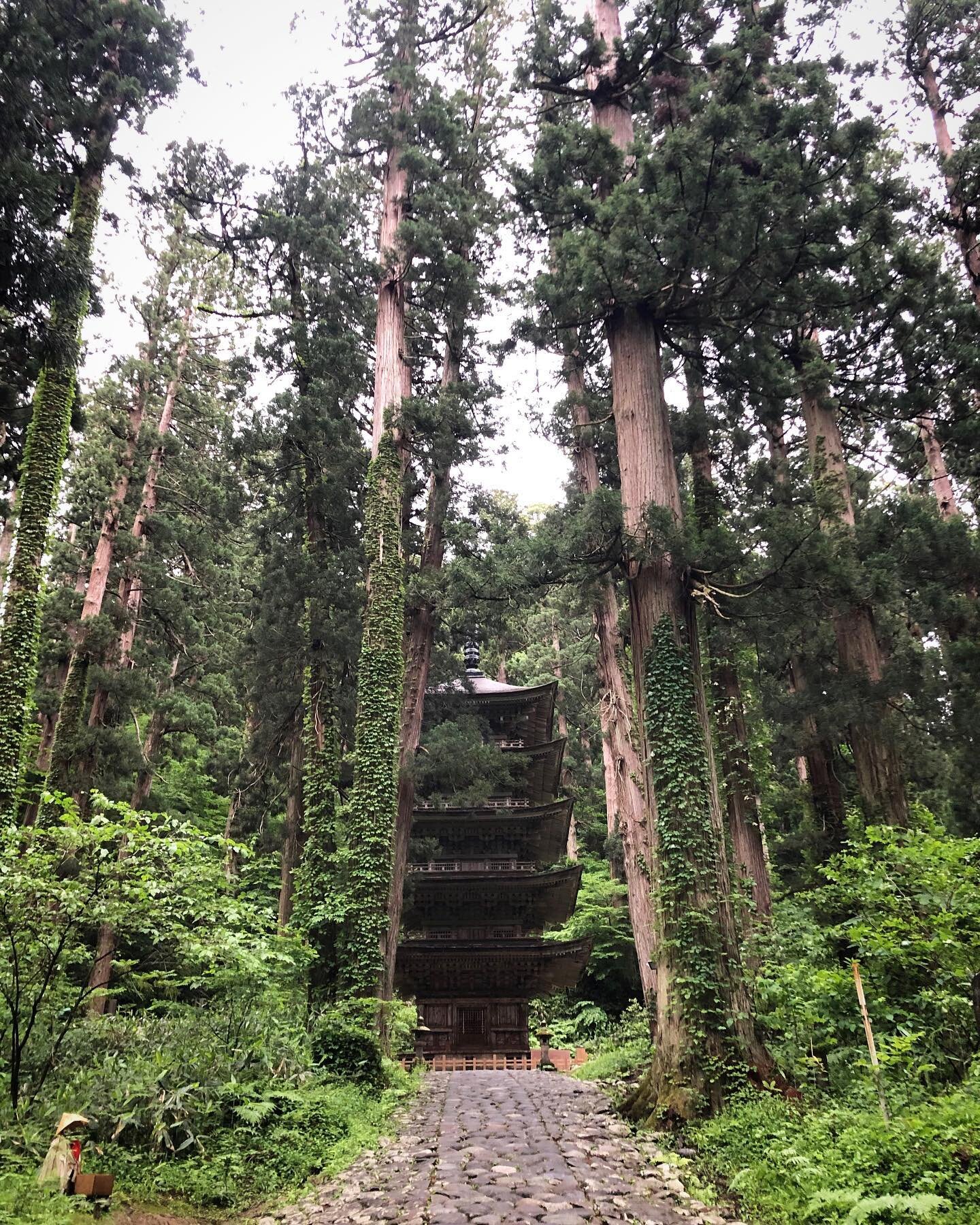 Lush is probably the only word you can use to describe Haguro-san (Mt. Haguro) in early June. The cherry blossoms are long gone, and the summer rain has brought with it a flurry of growth that simply covers the mountain in green. Coupled with the coo