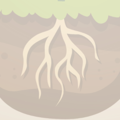 Annual Soil Health Workshop