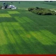 Fine-Tuning Nitrogen Management Through On-Farm Research