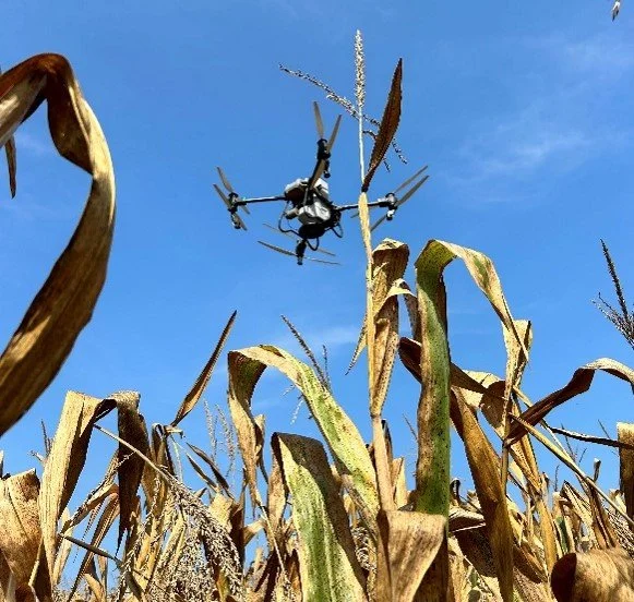 Field Day: Lessons Learned from Drone Interseeding Cover Crops into Corn