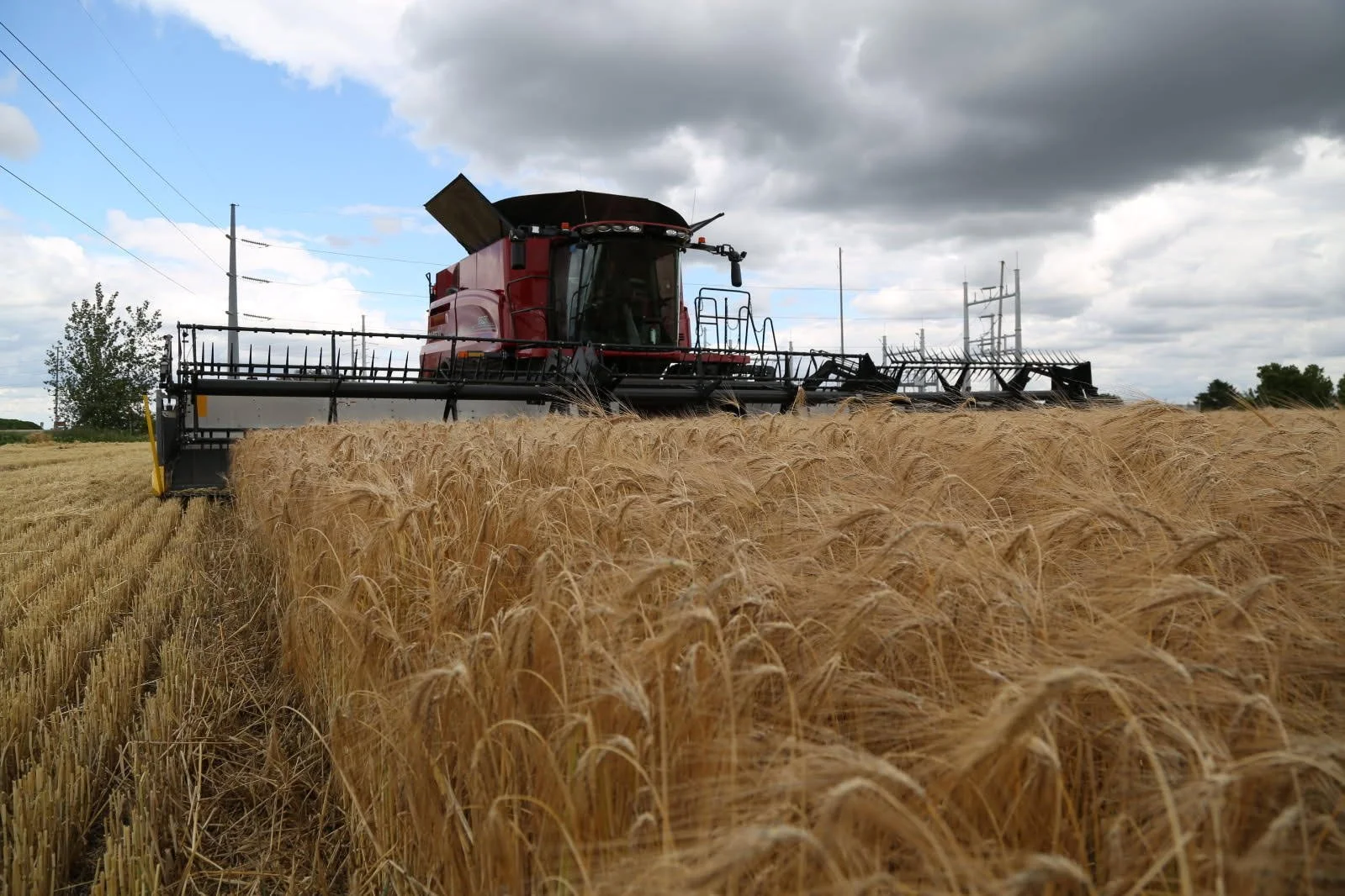 Summer field day at Hughes Farm