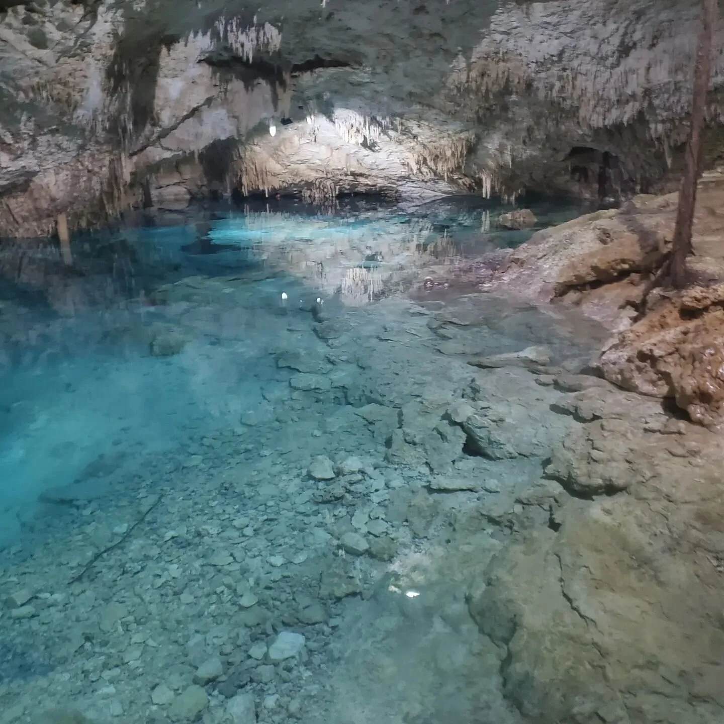 Cuando Nicaragua te viene a visitar &lt;3 ..we all the same land anyways
#Guardabarranco