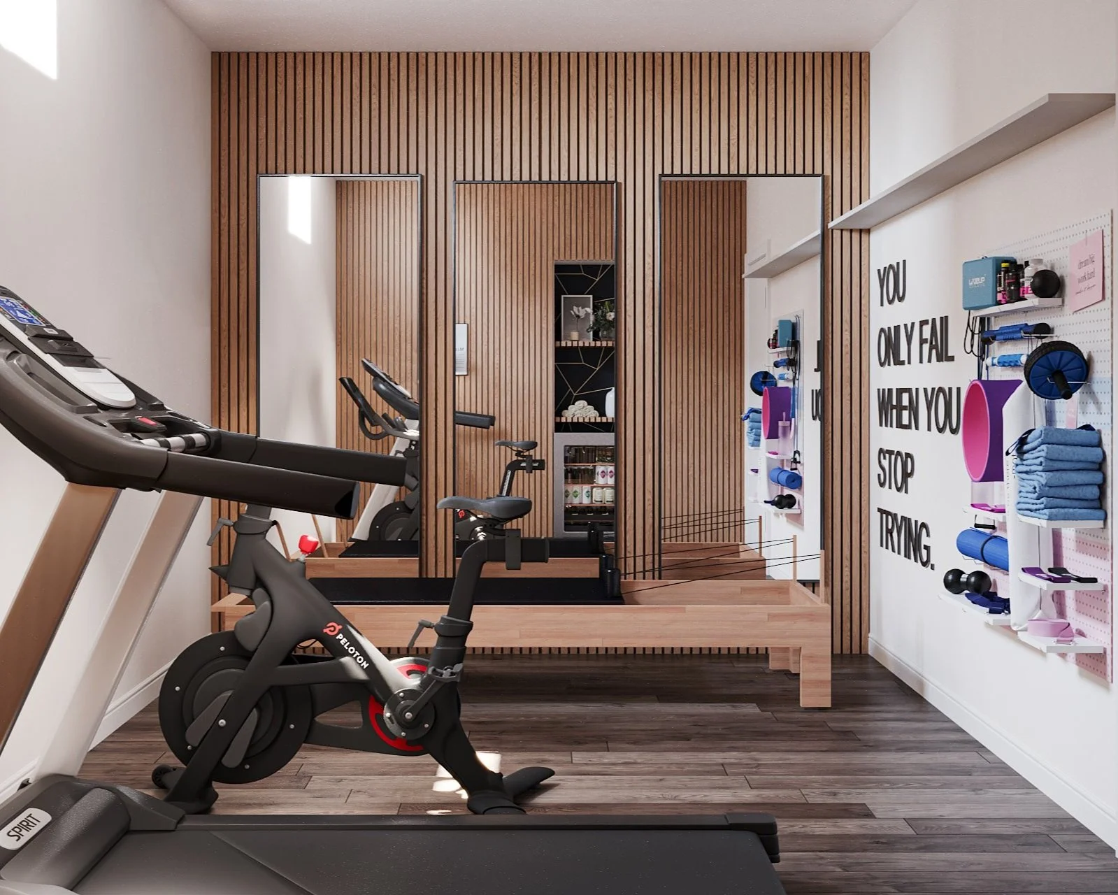 Contemporary Modern Workout Room Renovation