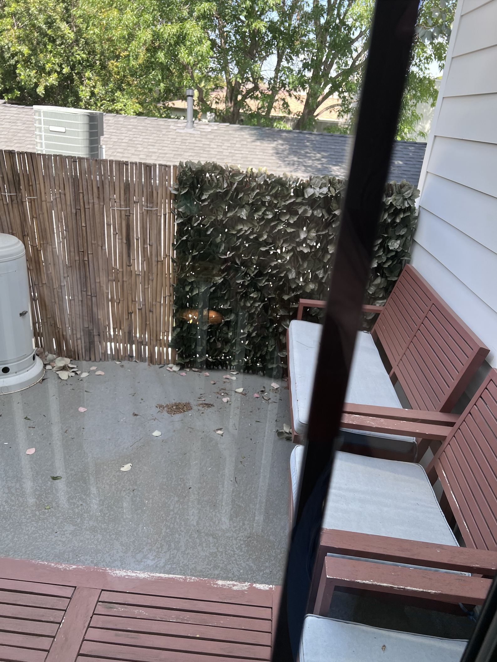 Screen Shot 2023-01-25 at 10.00.15 AM.png