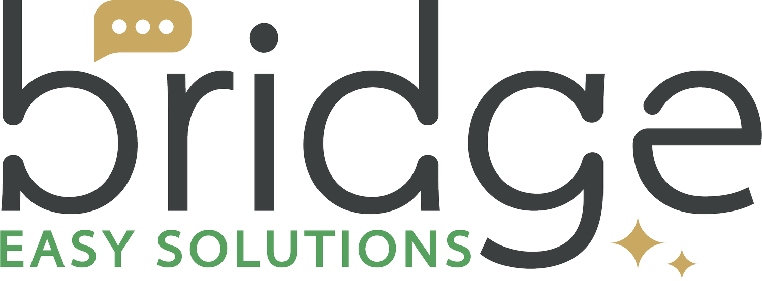 Bridge Easy logo.webp